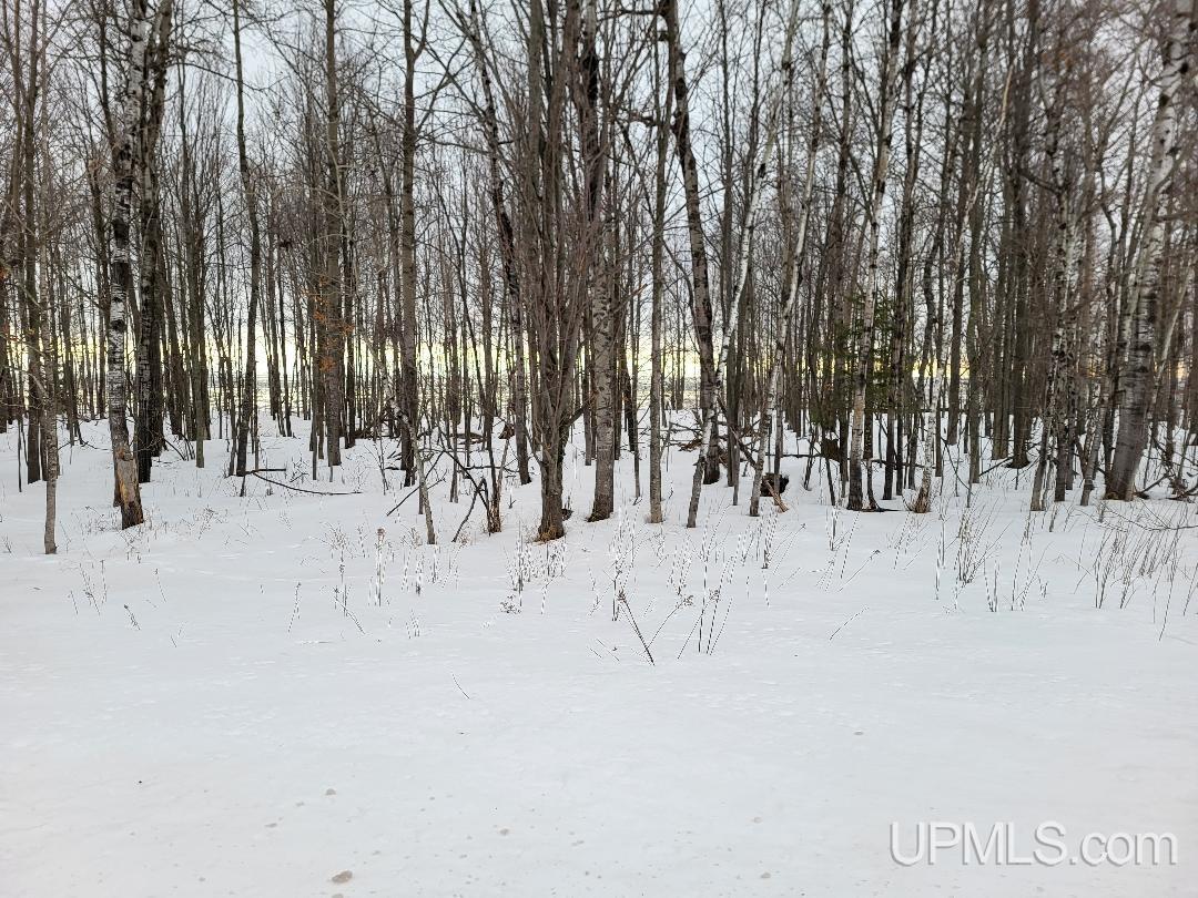TBD-lot 2 Lake Rd (CR505)-Mid lot