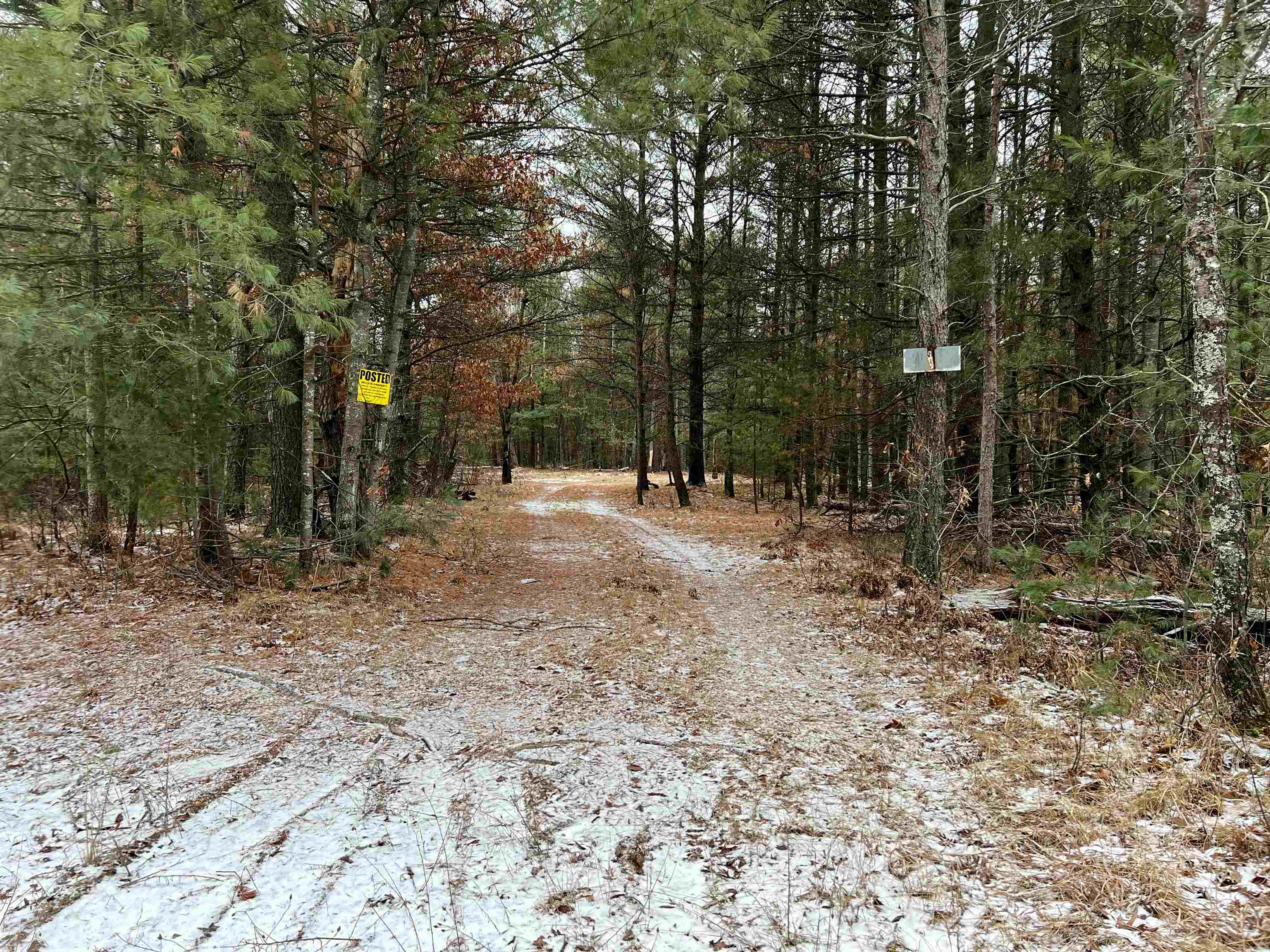 VL Cabin Lake Road