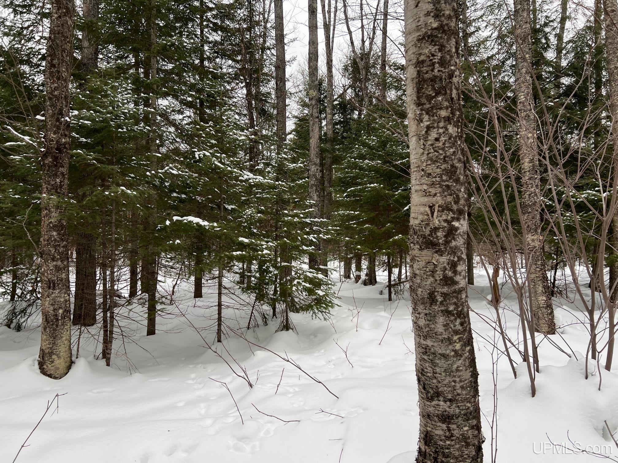 TBD10 Mud Lake Road