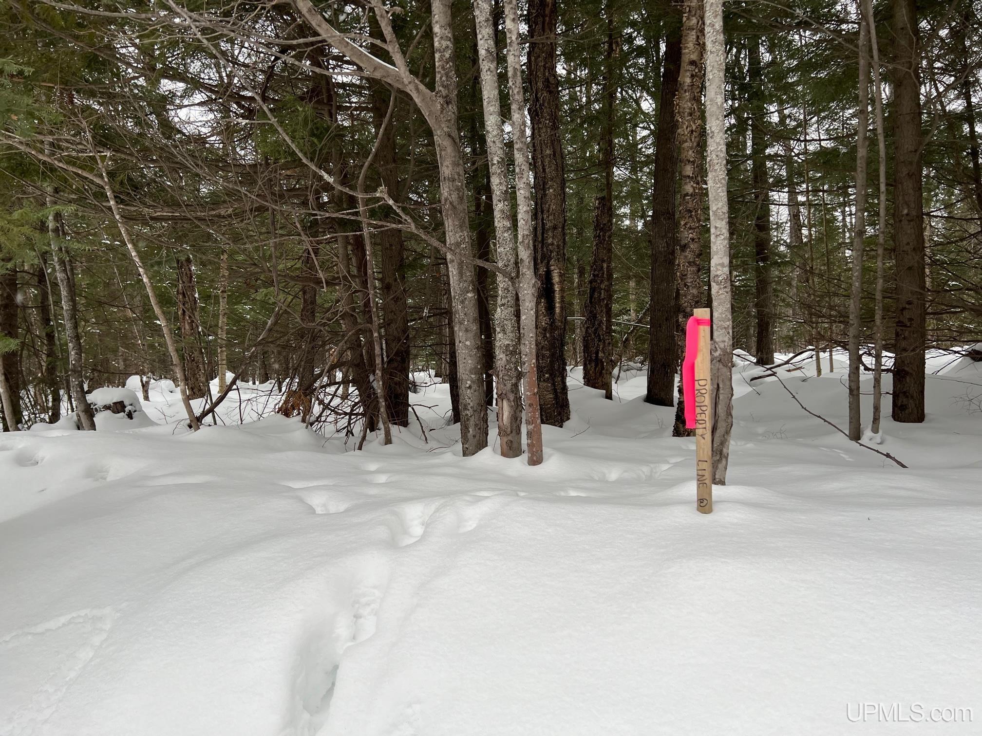 TBD10 Mud Lake Road