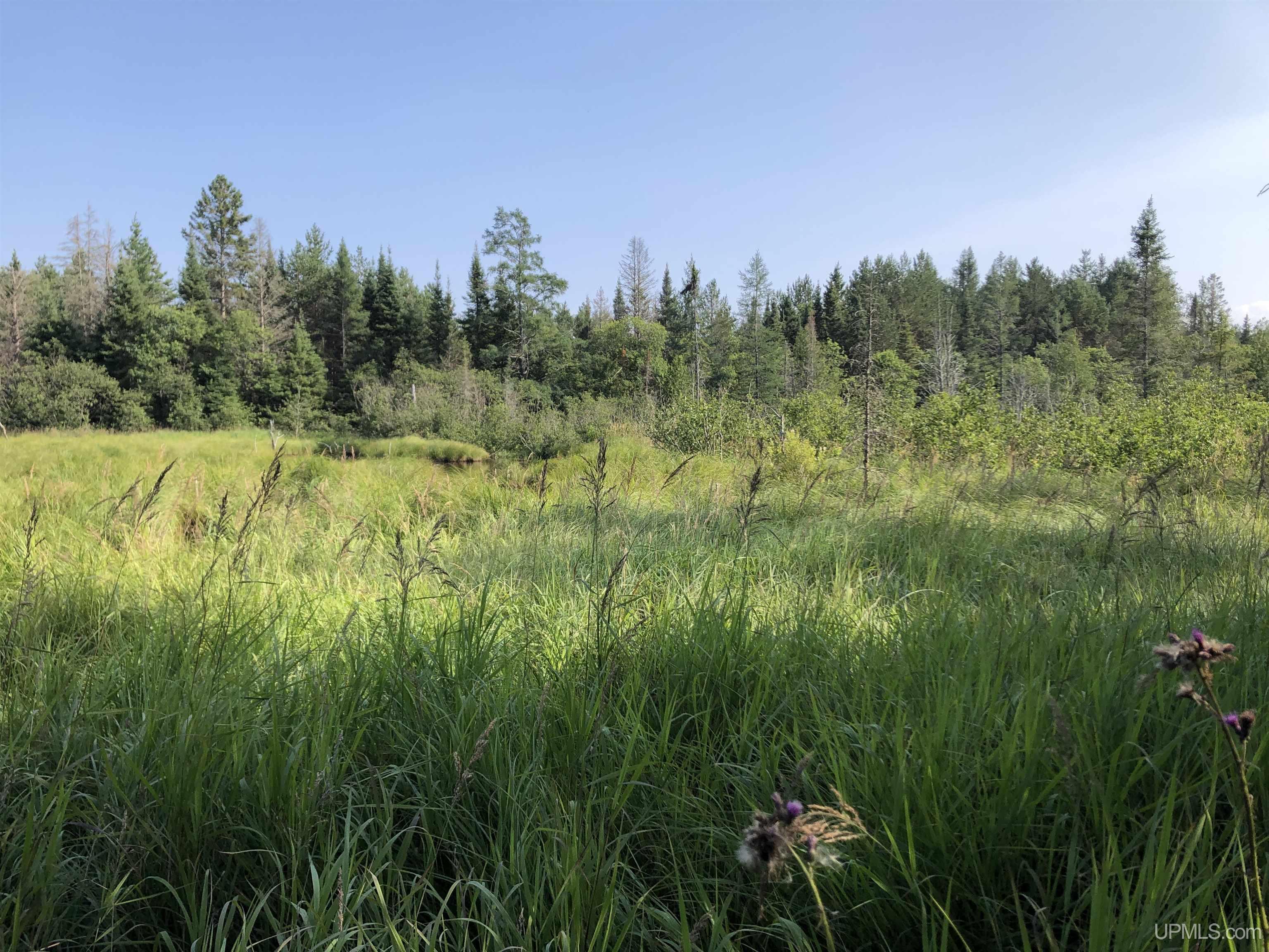TBD Co Rd 496 Avenue