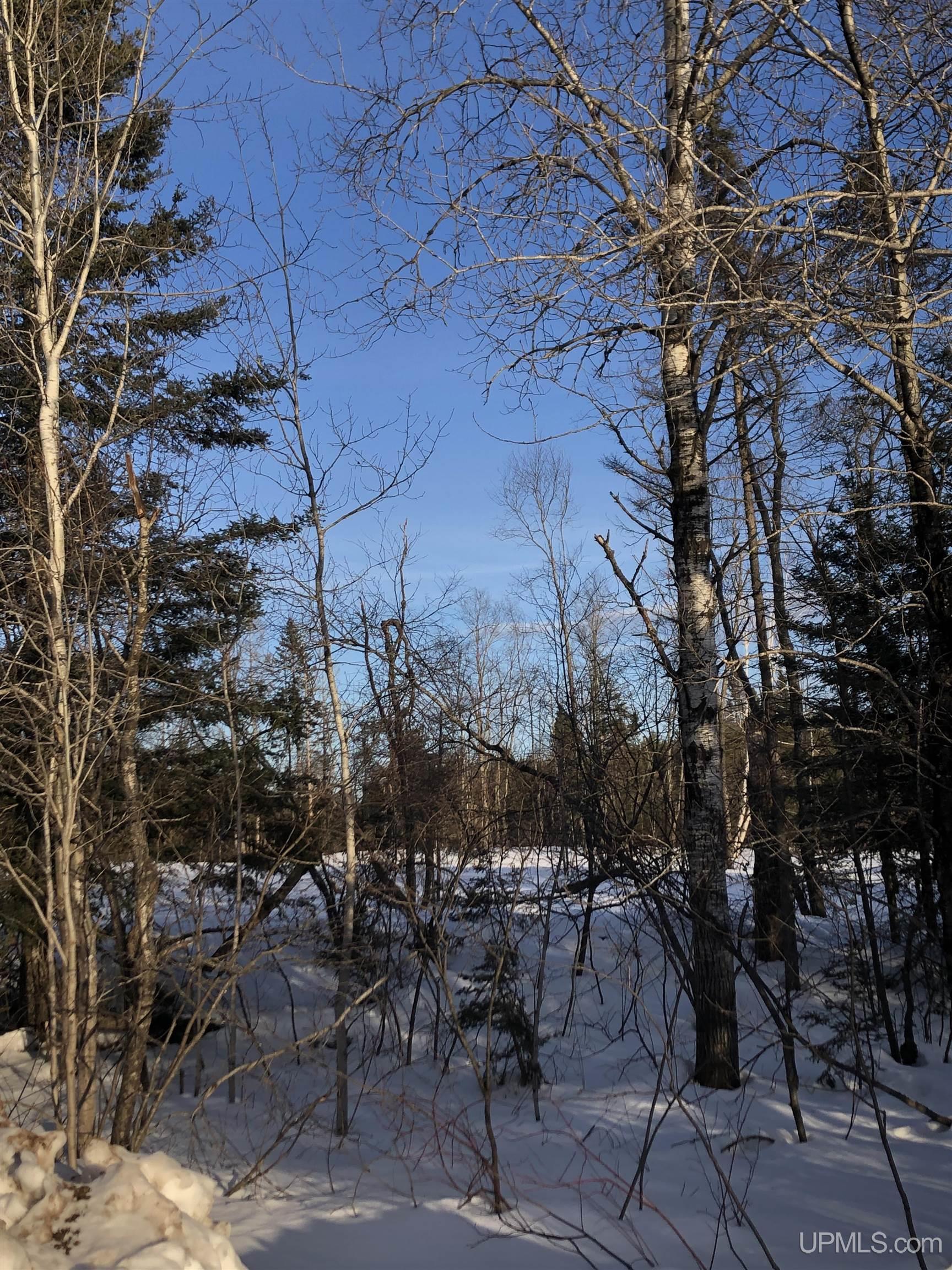 TBD Co Rd 496 Avenue