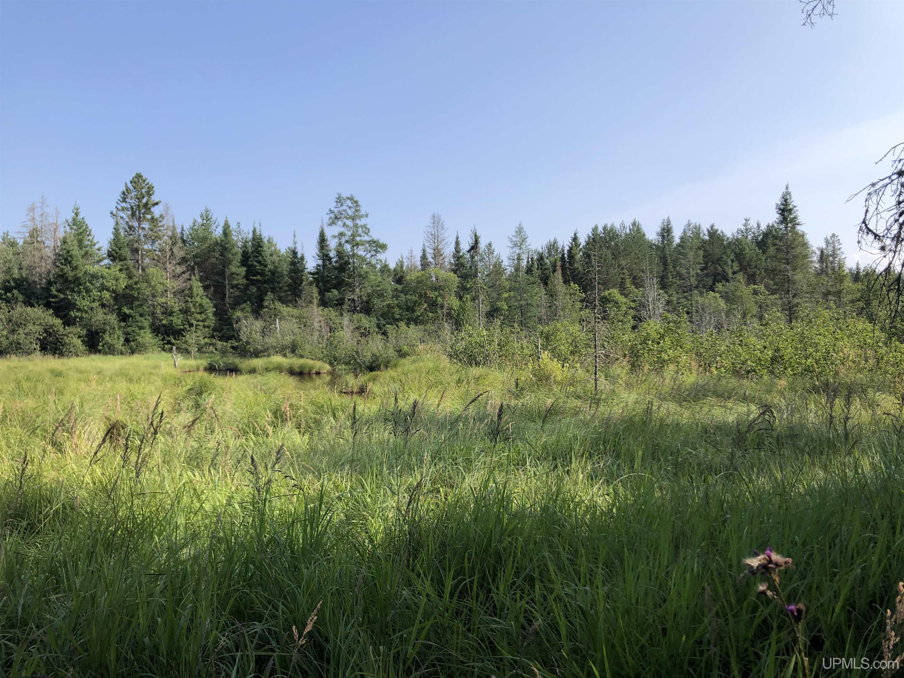 TBD Co Rd 496 Avenue