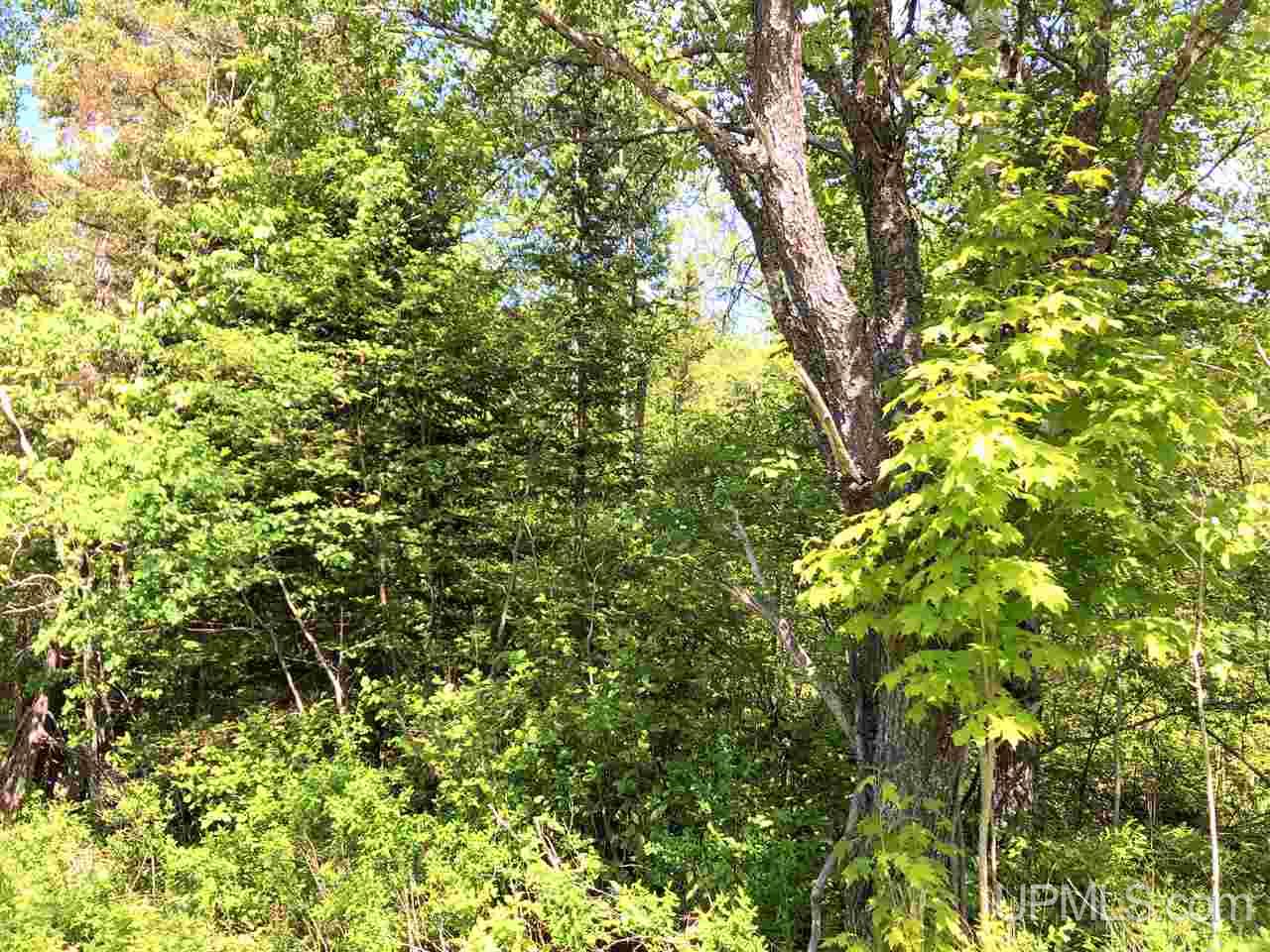 TBD Co Rd 496 Avenue