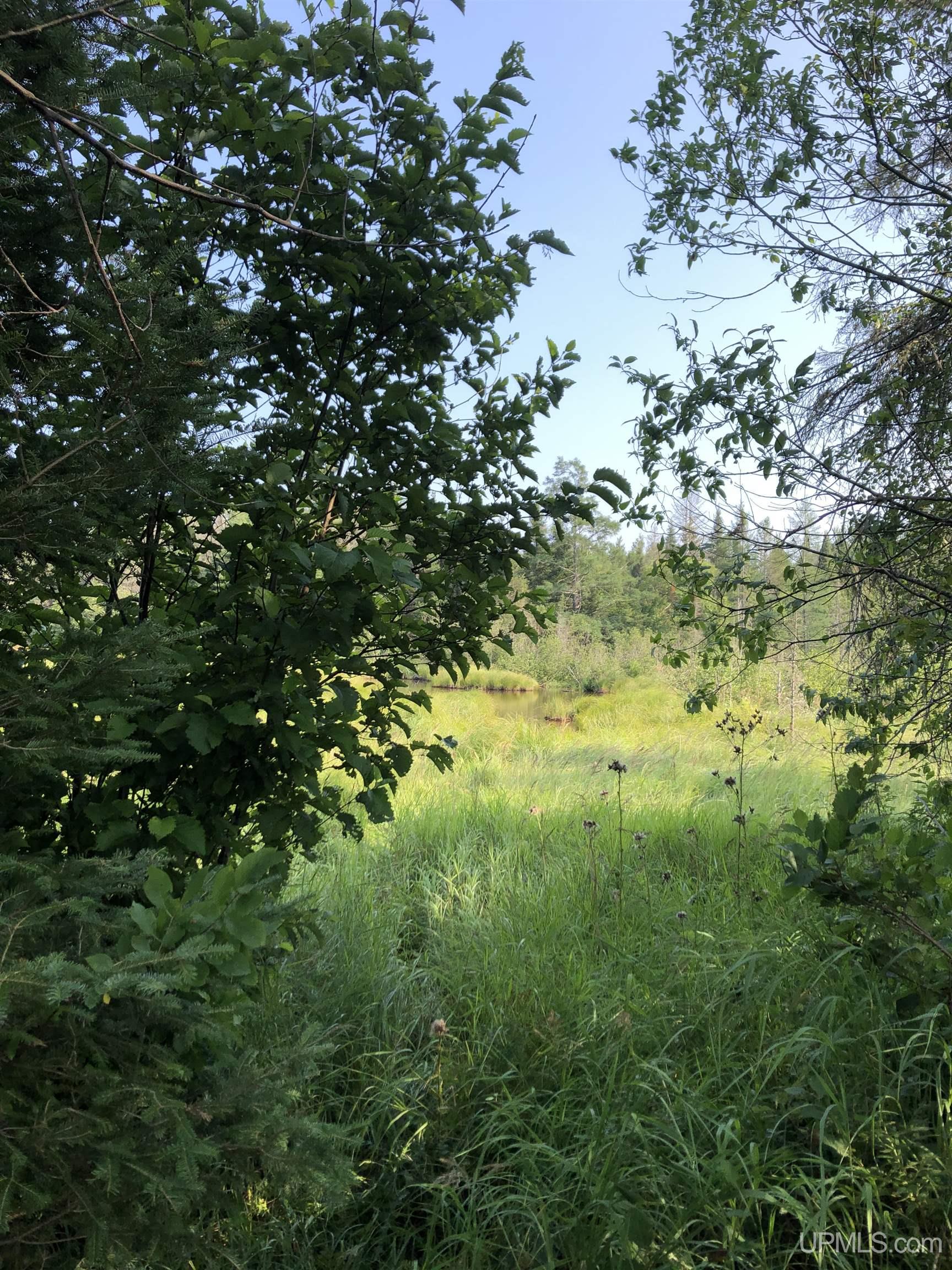 TBD Co Rd 496 Avenue