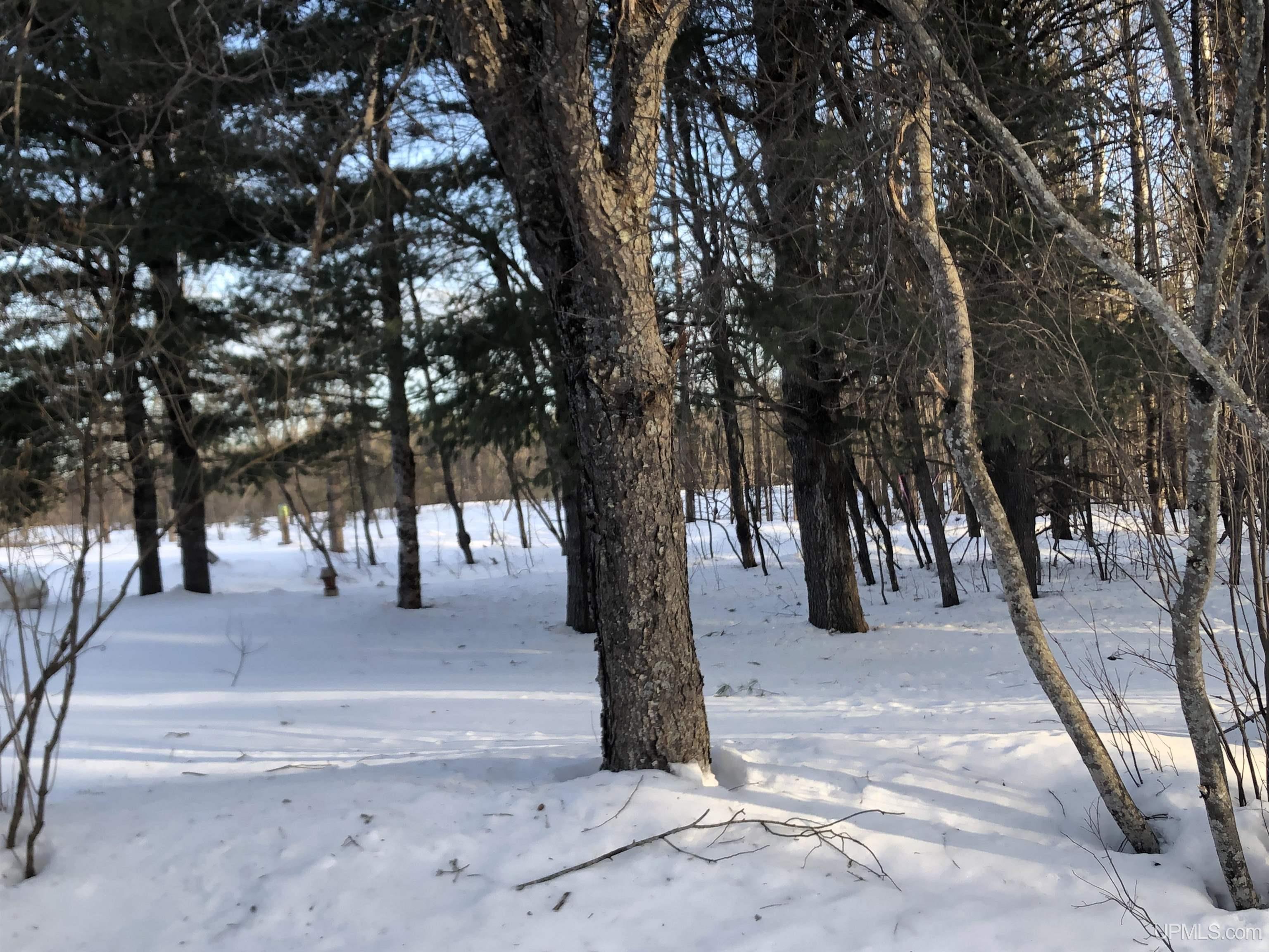 TBD Co Rd 496 Avenue