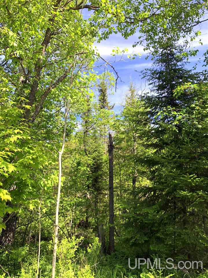TBD Co Rd 496 Avenue