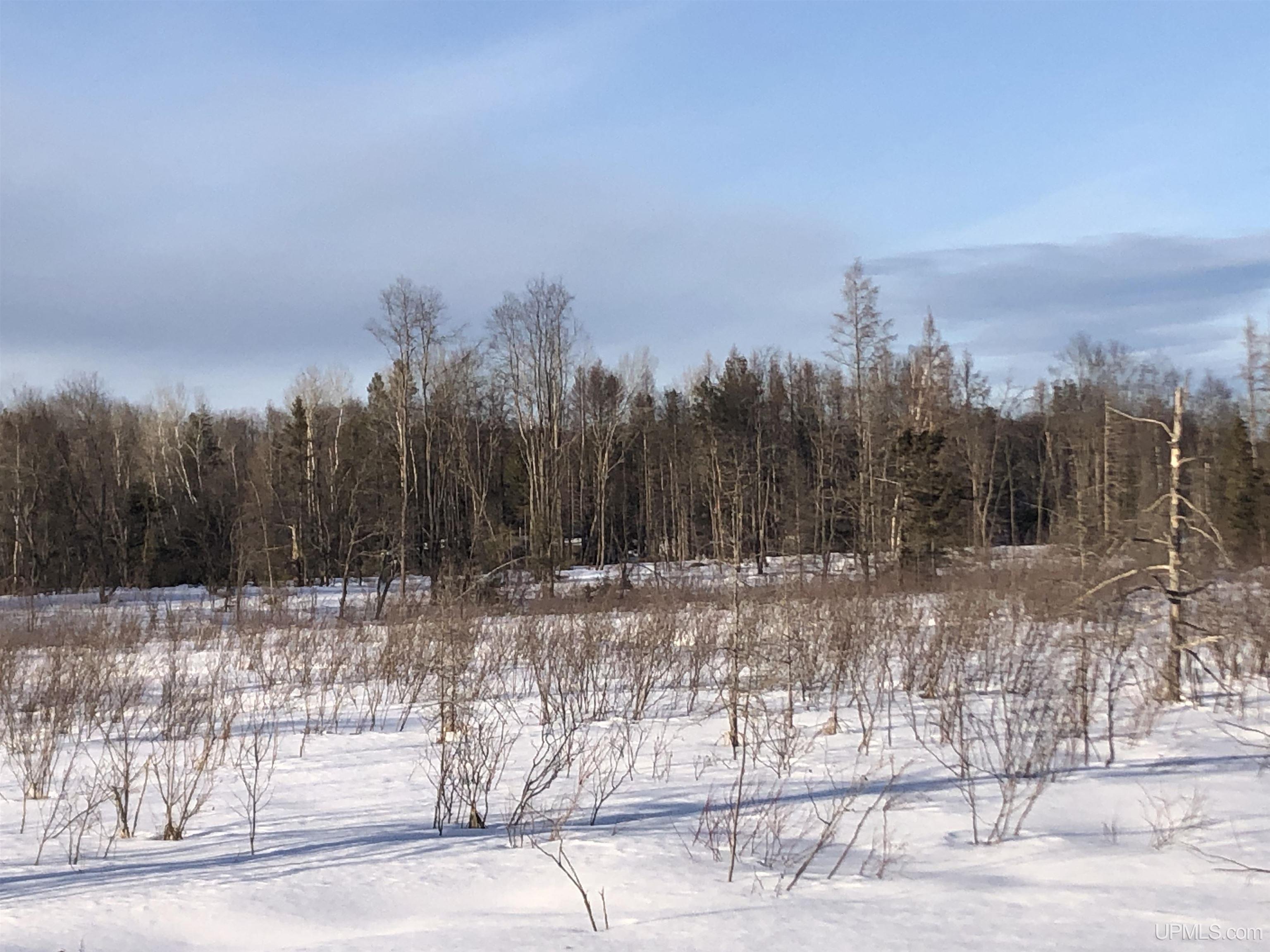 TBD Co Rd 496 Avenue