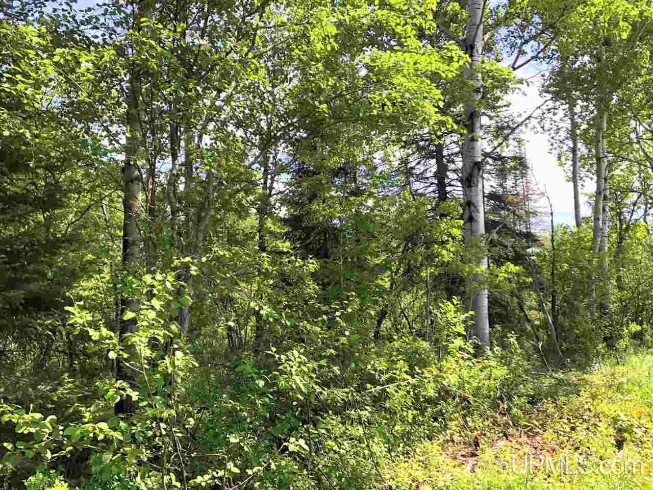 TBD Co Rd 496 Avenue