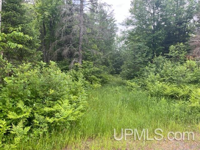 35 Acres Co Rd 482