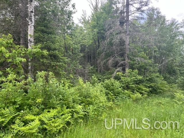 35 Acres Co Rd 482