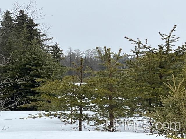 80 acres Doe Lake Rd