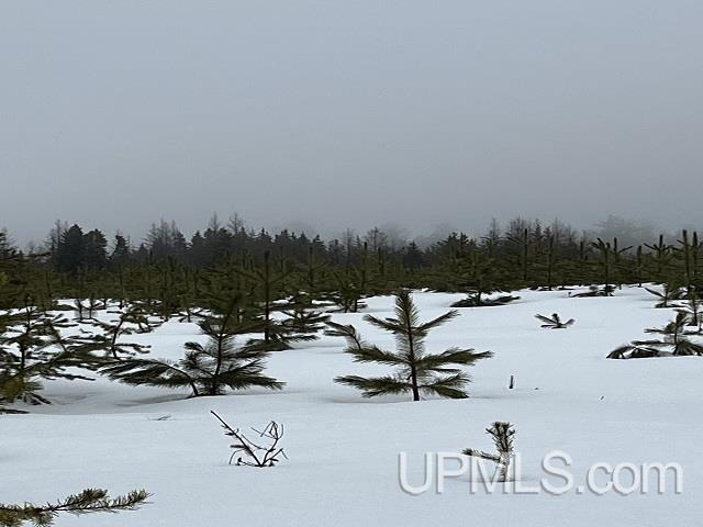 80 acres Doe Lake Rd