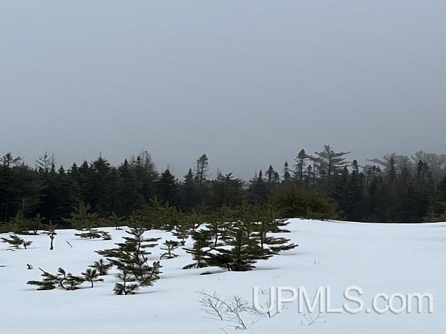 80 acres Doe Lake Rd