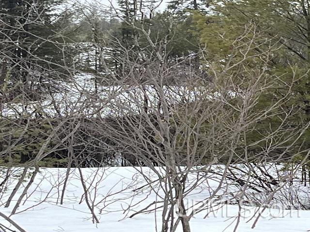 80 acres Doe Lake Rd