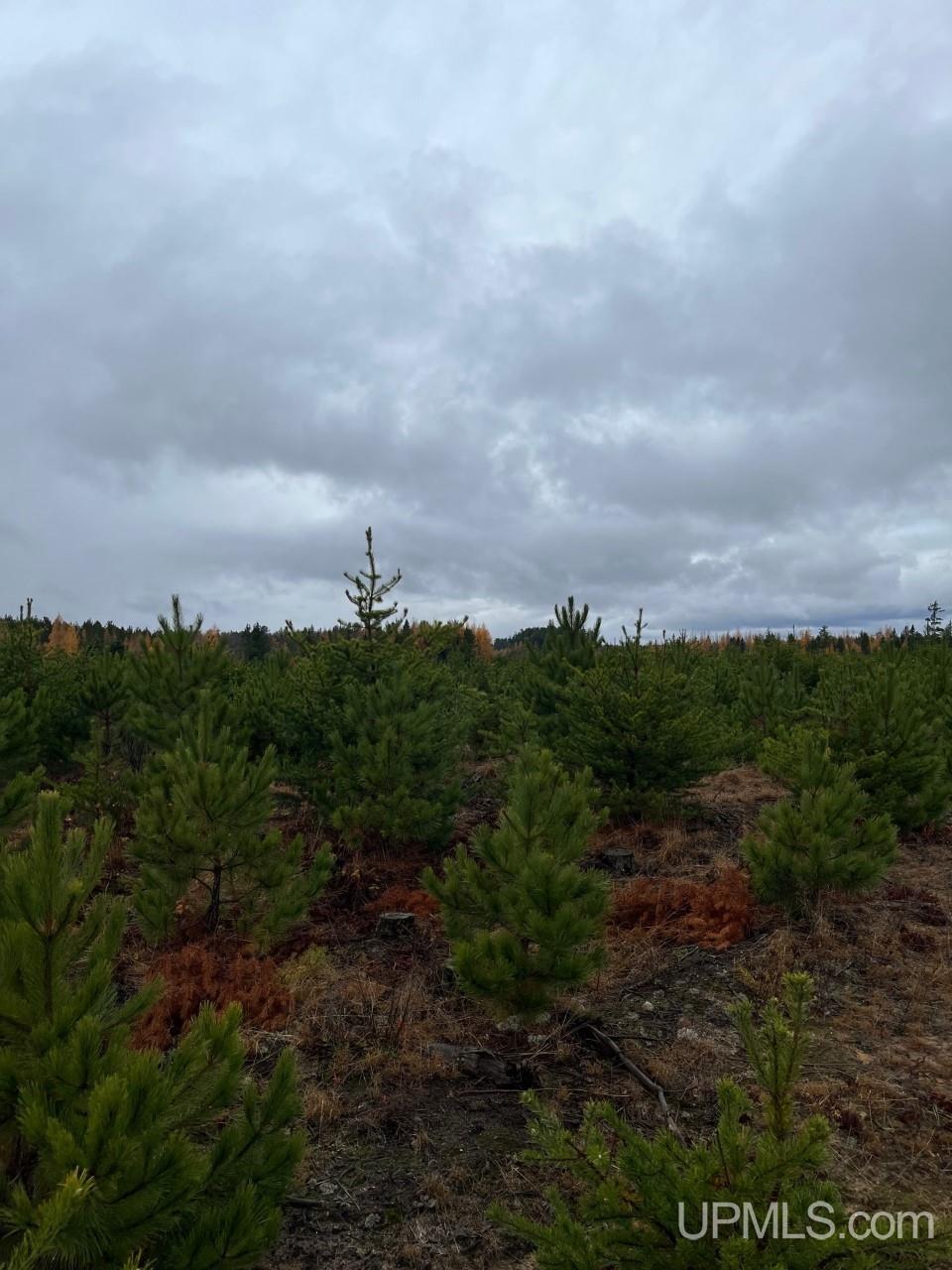 80 acres Doe Lake Rd