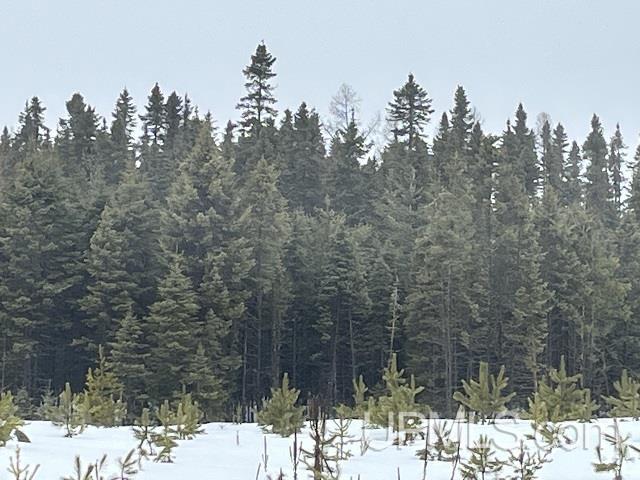 80 acres Doe Lake Rd