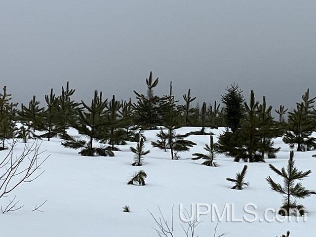 80 acres Doe Lake Rd