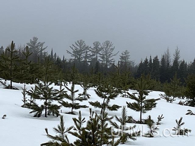 80 acres Doe Lake Rd