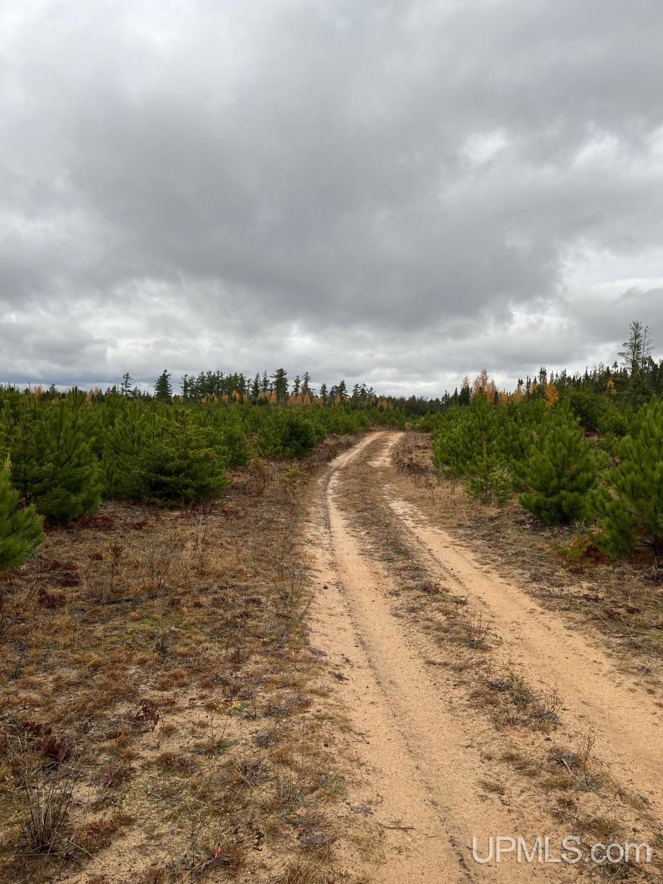 80 acres Doe Lake Rd
