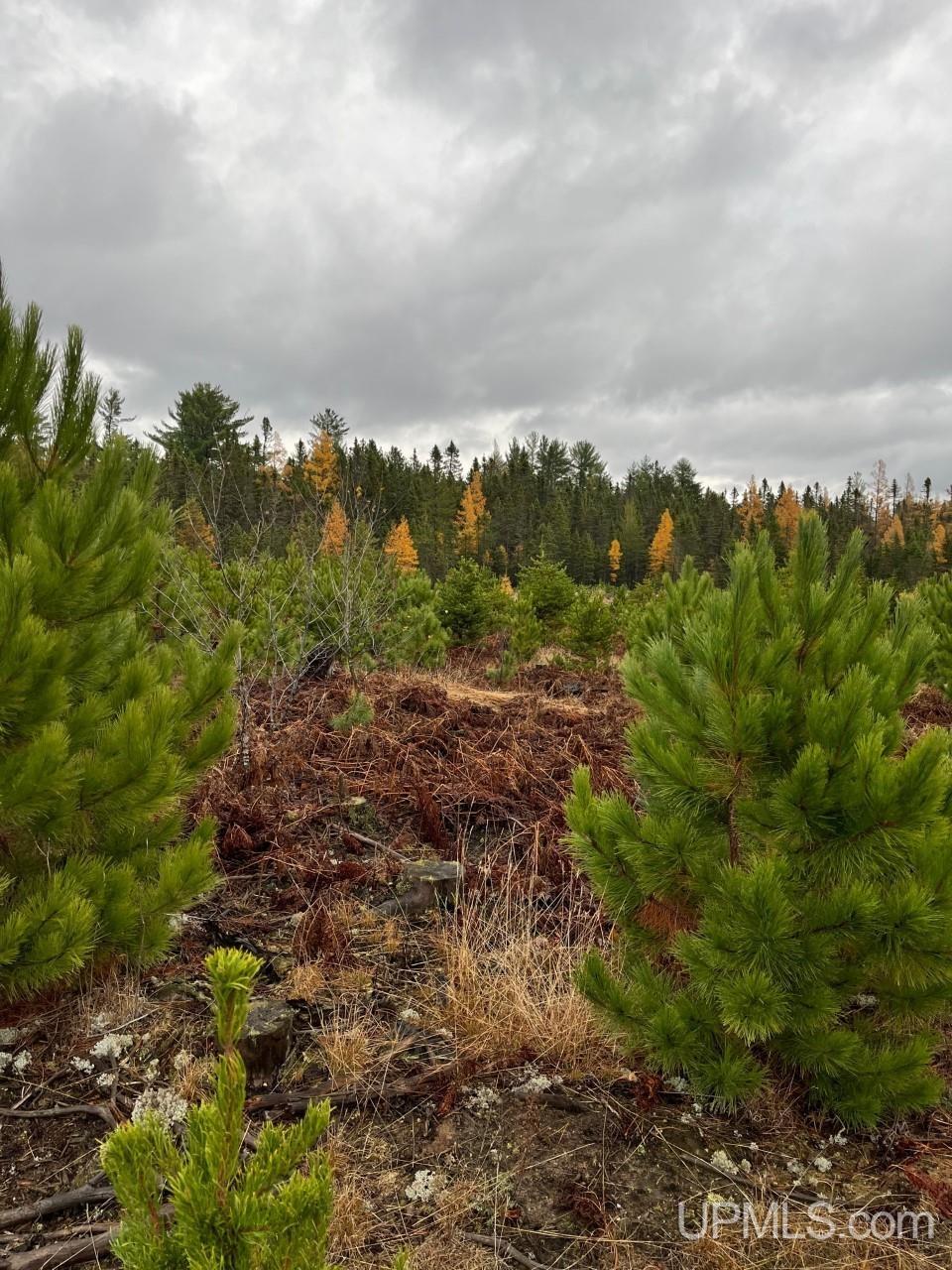 80 acres Doe Lake Rd