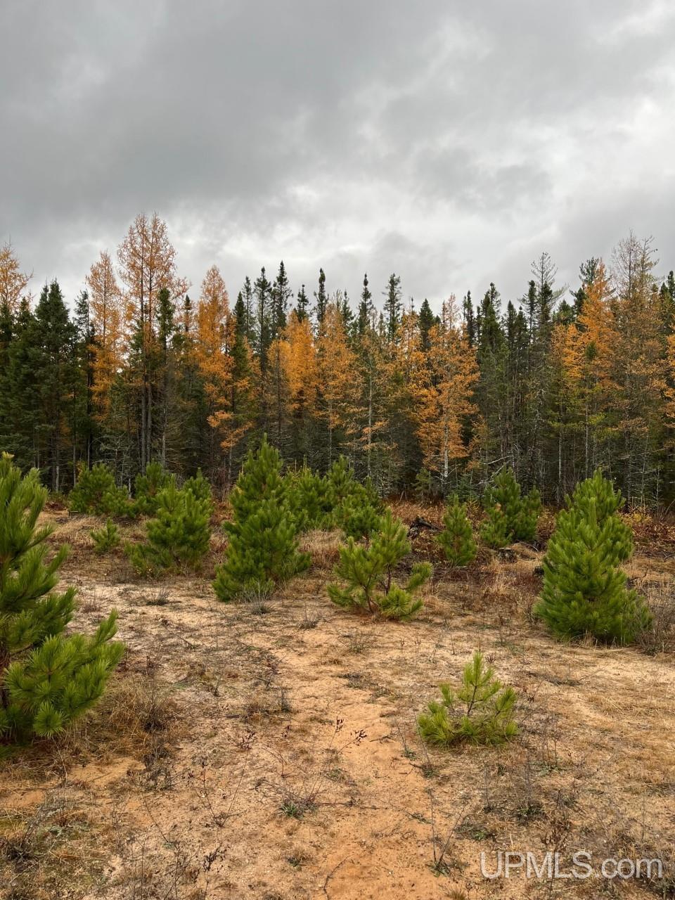 80 acres Doe Lake Rd