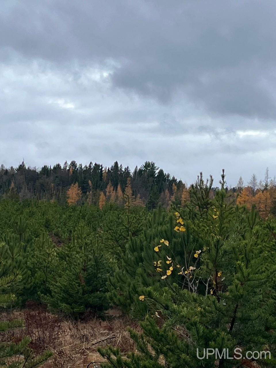 80 acres Doe Lake Rd