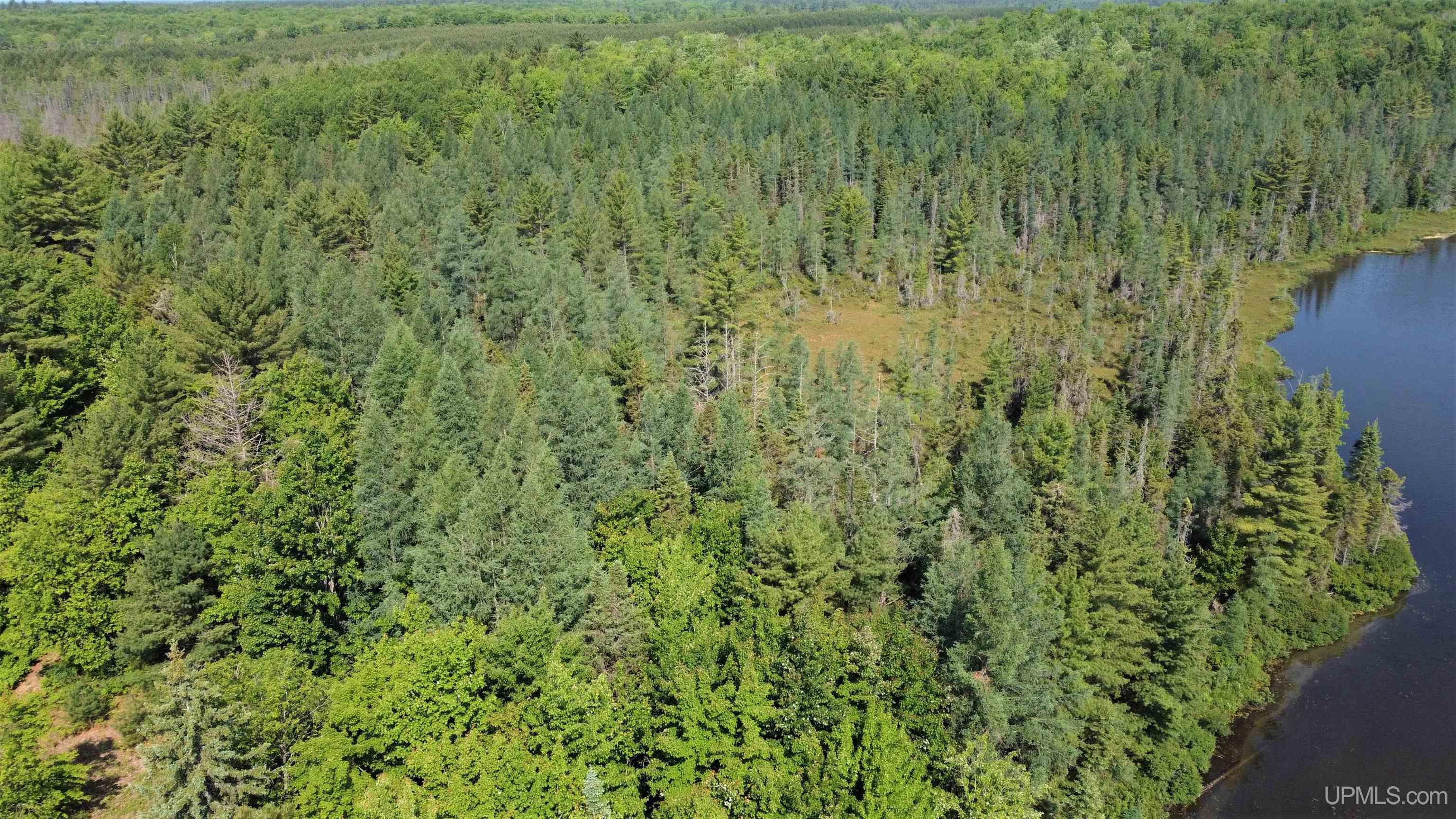 Off Sixteen Mile Lake Munising, MI MLS50113042 Great Lakes and Land