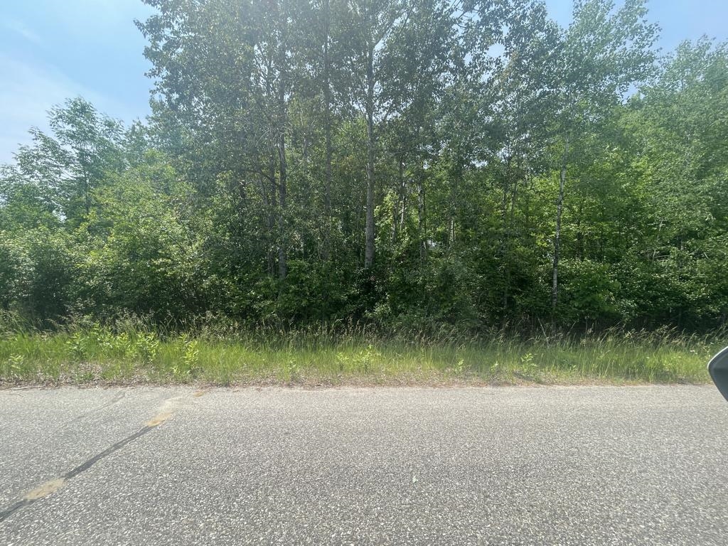Looking for 2 adjoining lots to build or camp?     These 2 lots are contiguous, for one yearly dues.    well over 1/2 acre of with no improvements but ready for you to design your dream.   Short distance to a couple of beach clubs, for swimming, playground, etc.   You will need to put in a drive and sewer in order to camp on lot.  For more information:  http://butmantwp.com/news_detail_T6_R109.php  Ownership give you access to all of Sugar Springs amenities, golf, pool, tennis, pickle ball and more.    Come and  enjoy our year around activities and events.