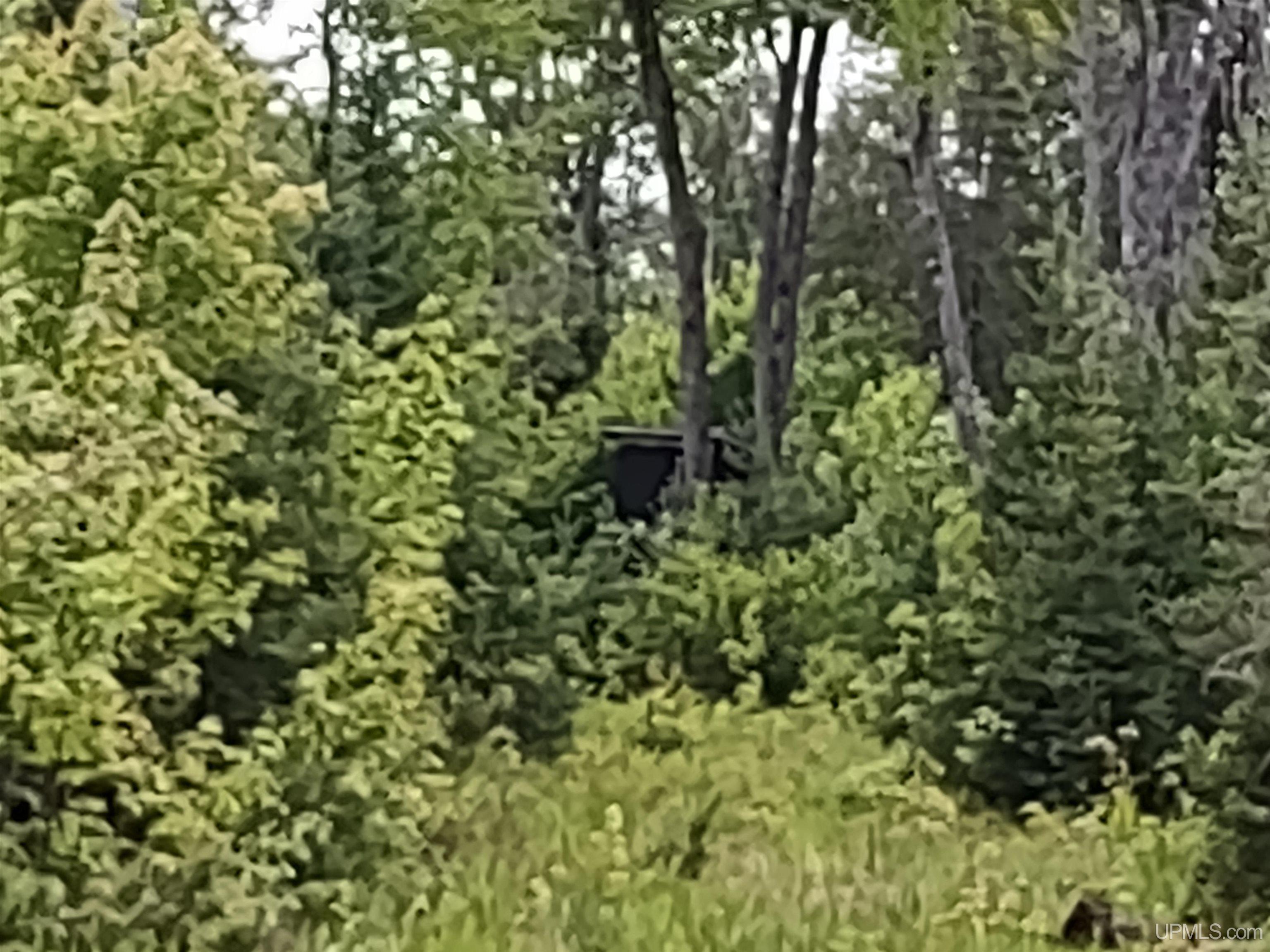 59Acres US141 Covington, MI MLS50113876 Great Lakes and Land