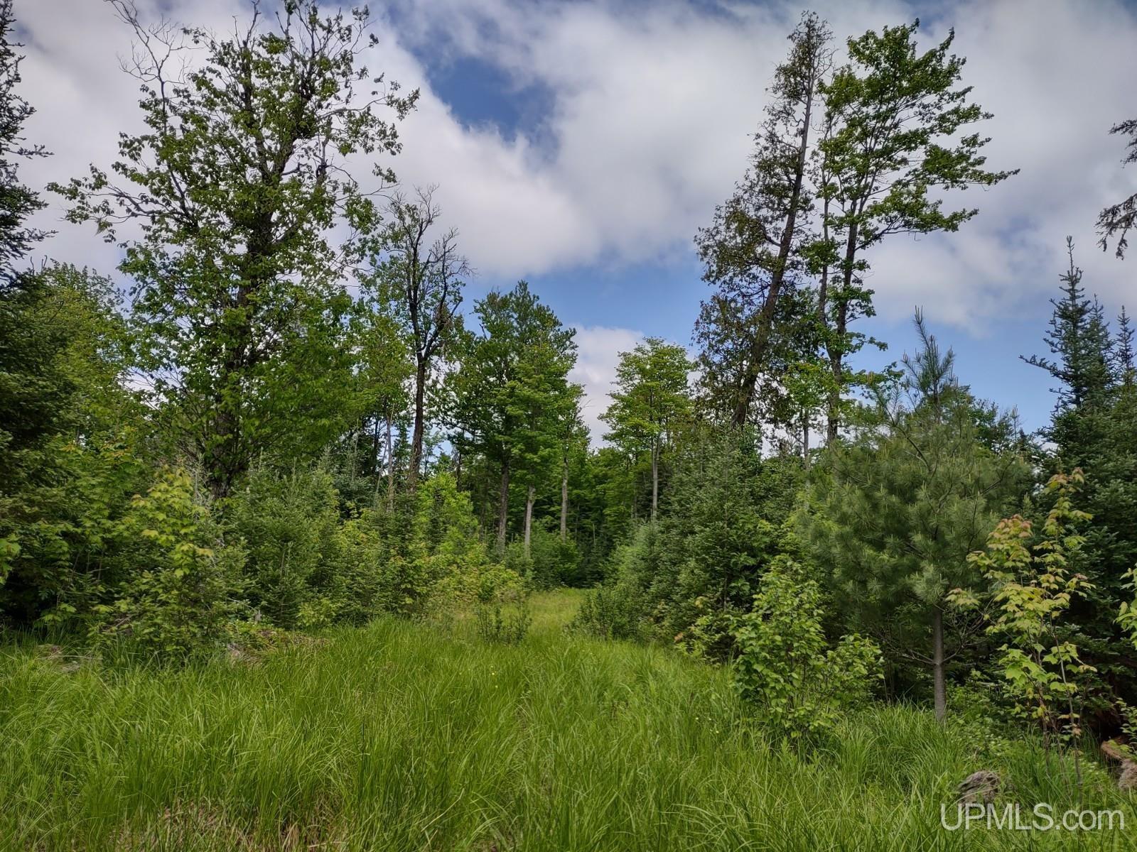 59Acres US141 Covington, MI MLS50113876 Great Lakes and Land