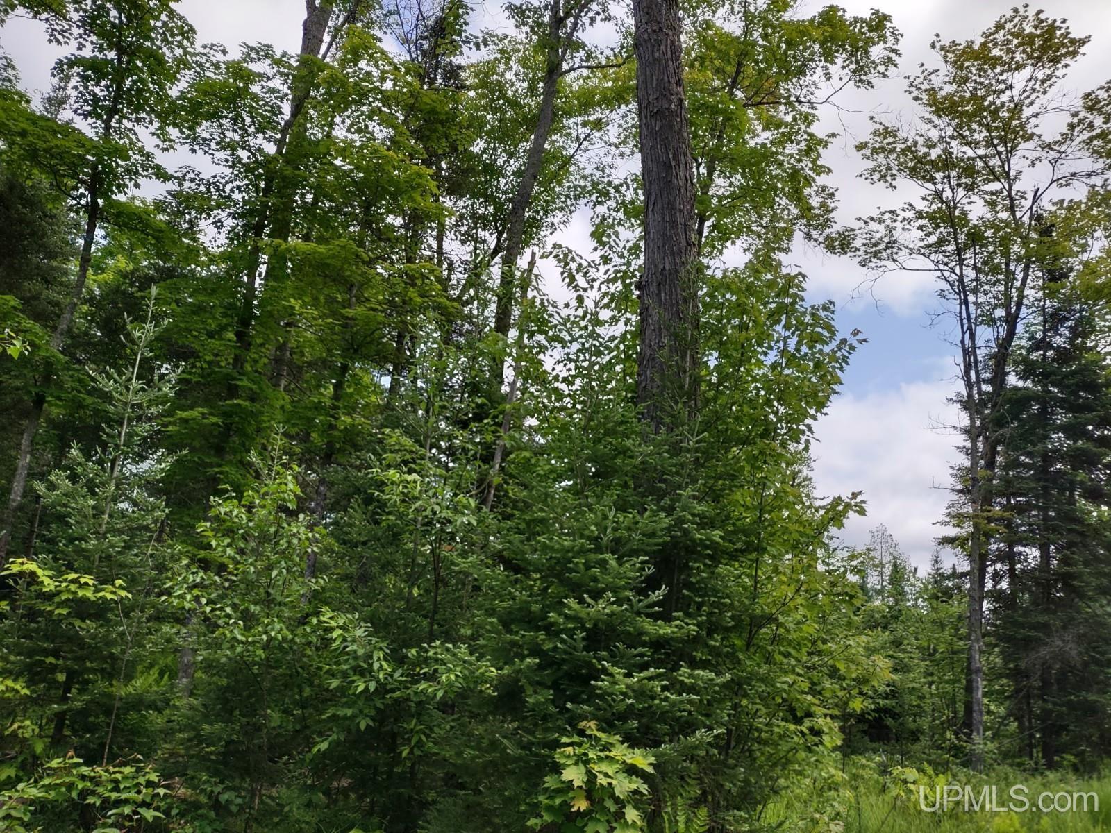 59Acres US141 Covington, MI MLS50113876 Great Lakes and Land