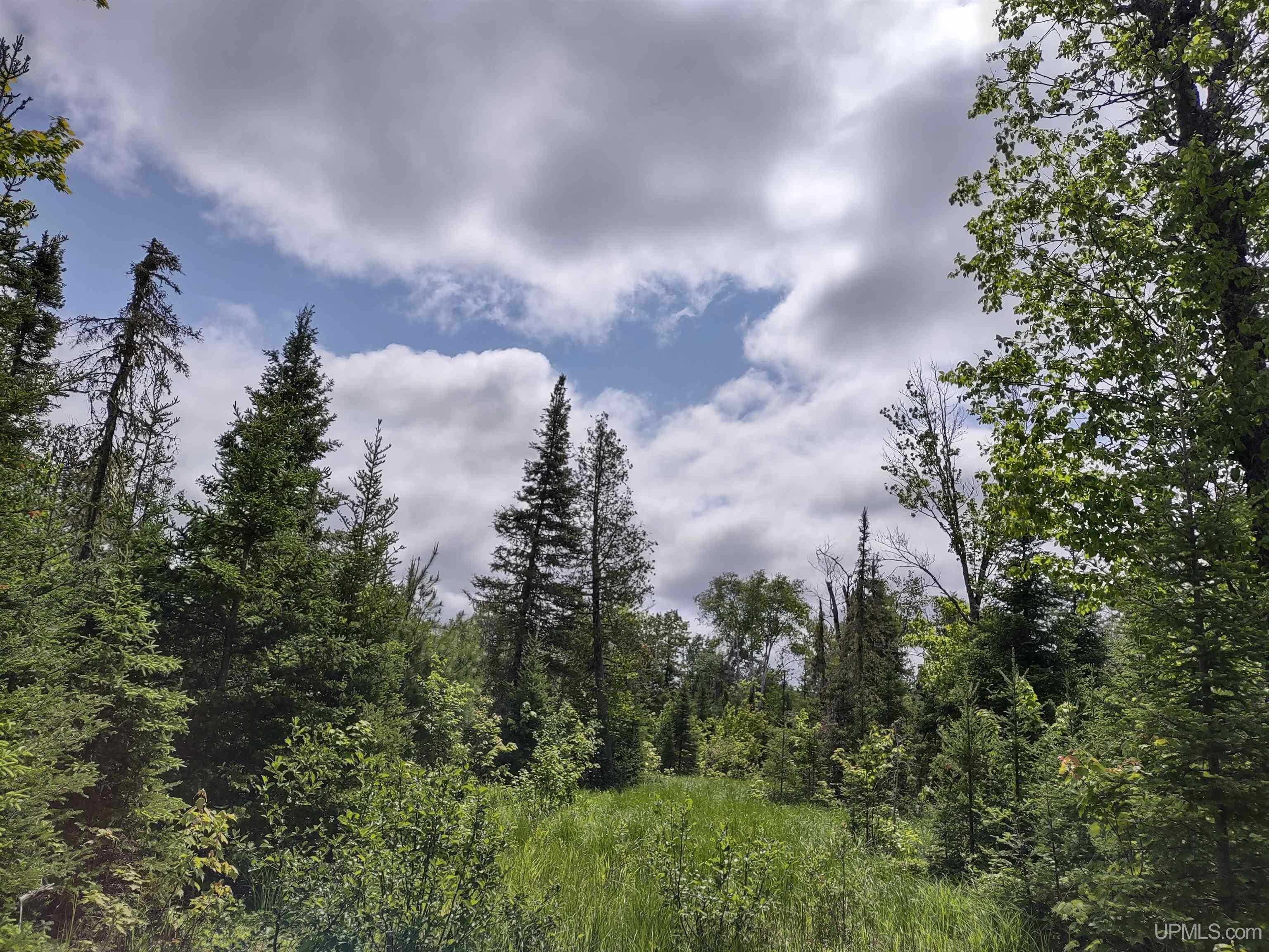 59Acres US141 Covington, MI MLS50113876 Great Lakes and Land