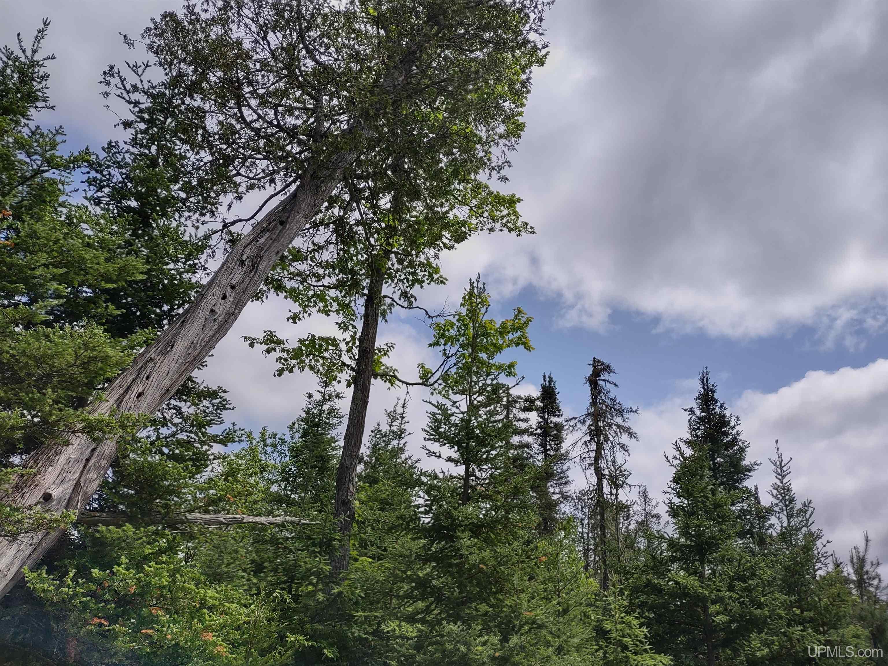 59Acres US141 Covington, MI MLS50113876 Great Lakes and Land