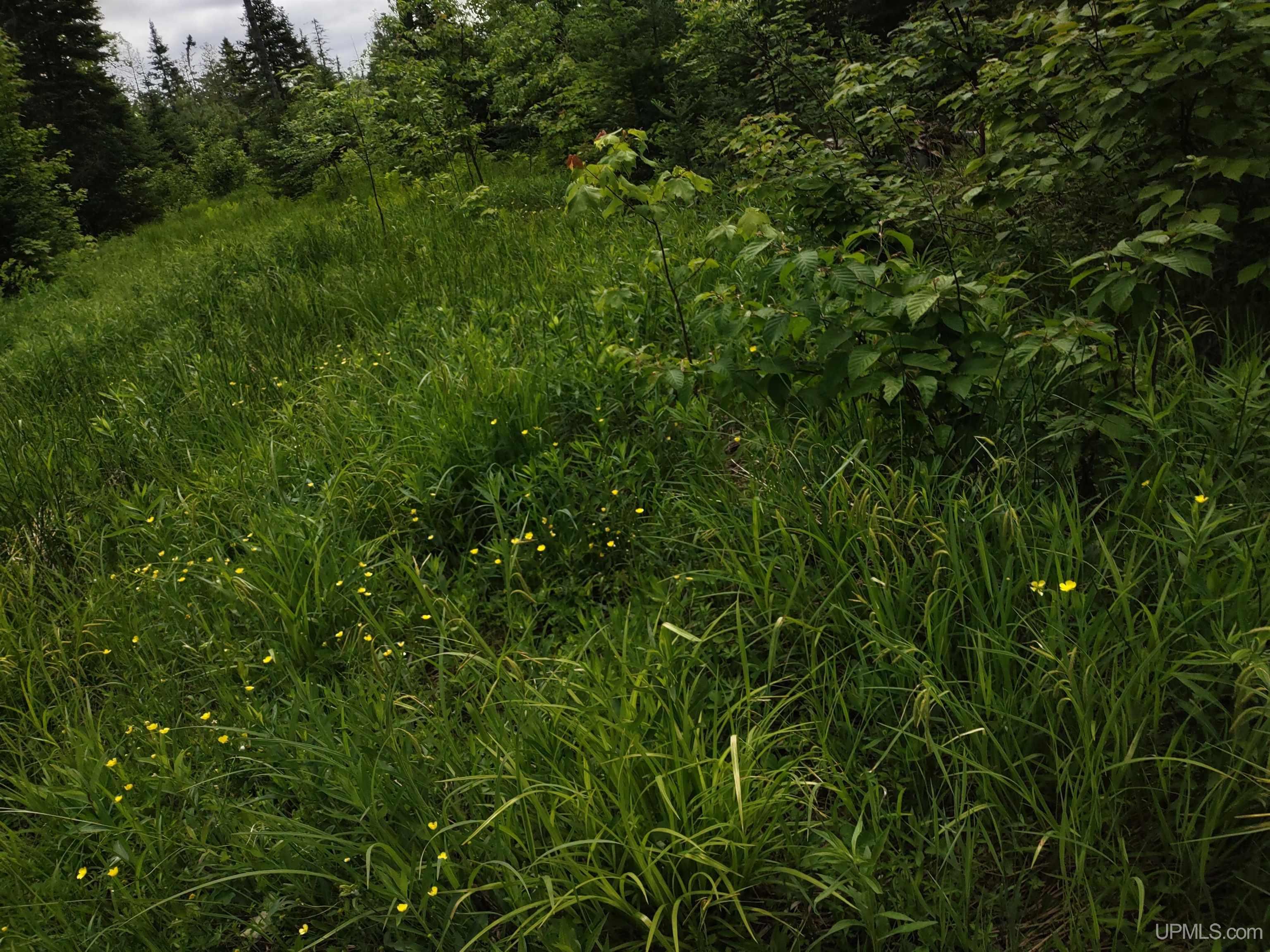 59Acres US141 Covington, MI MLS50113876 Great Lakes and Land