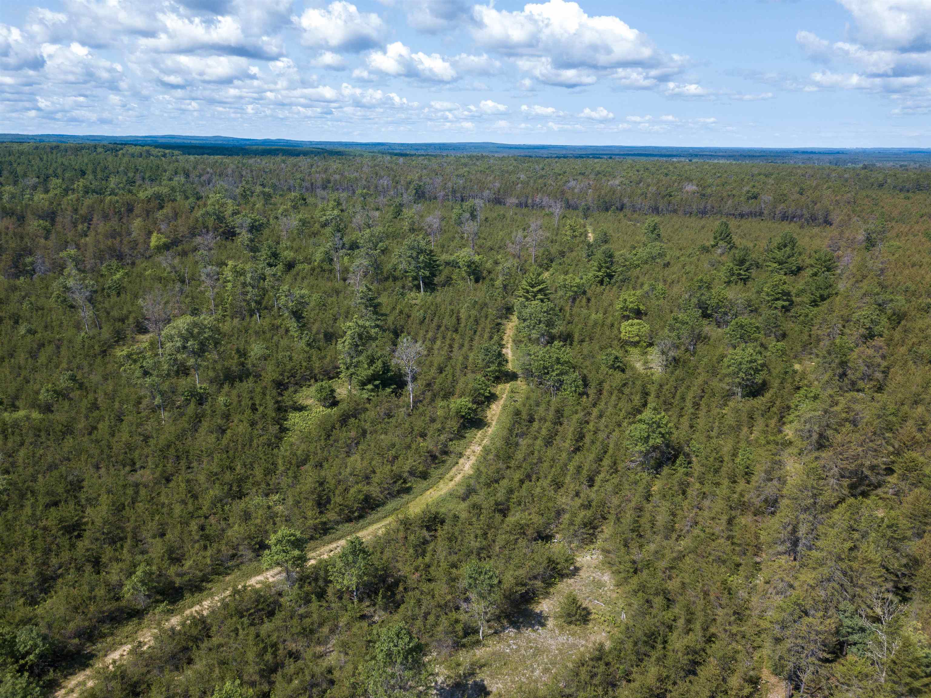 VL 564 Acres West Branch