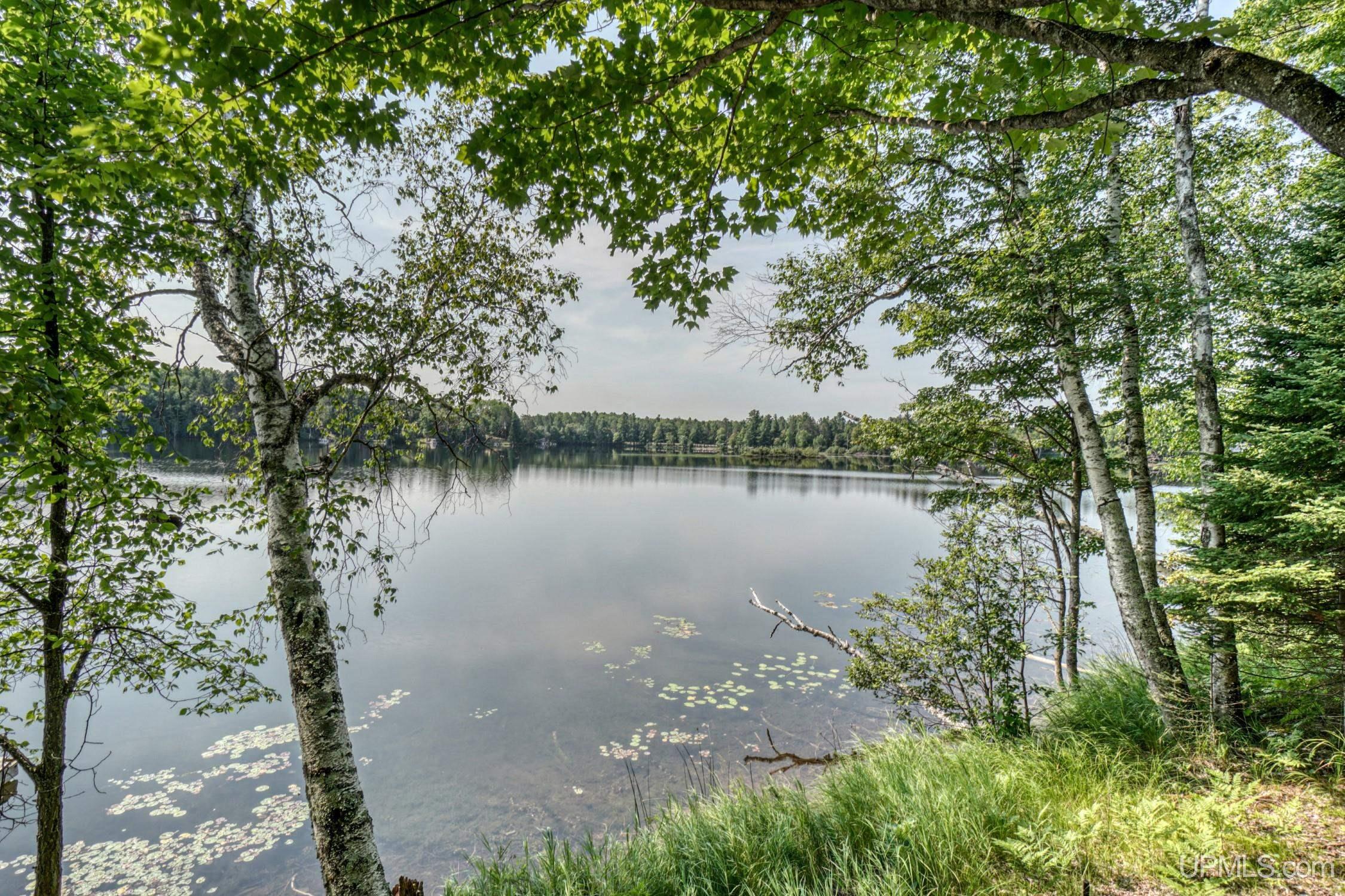 Residential for sale in Crystal Falls, Michigan, 50118787