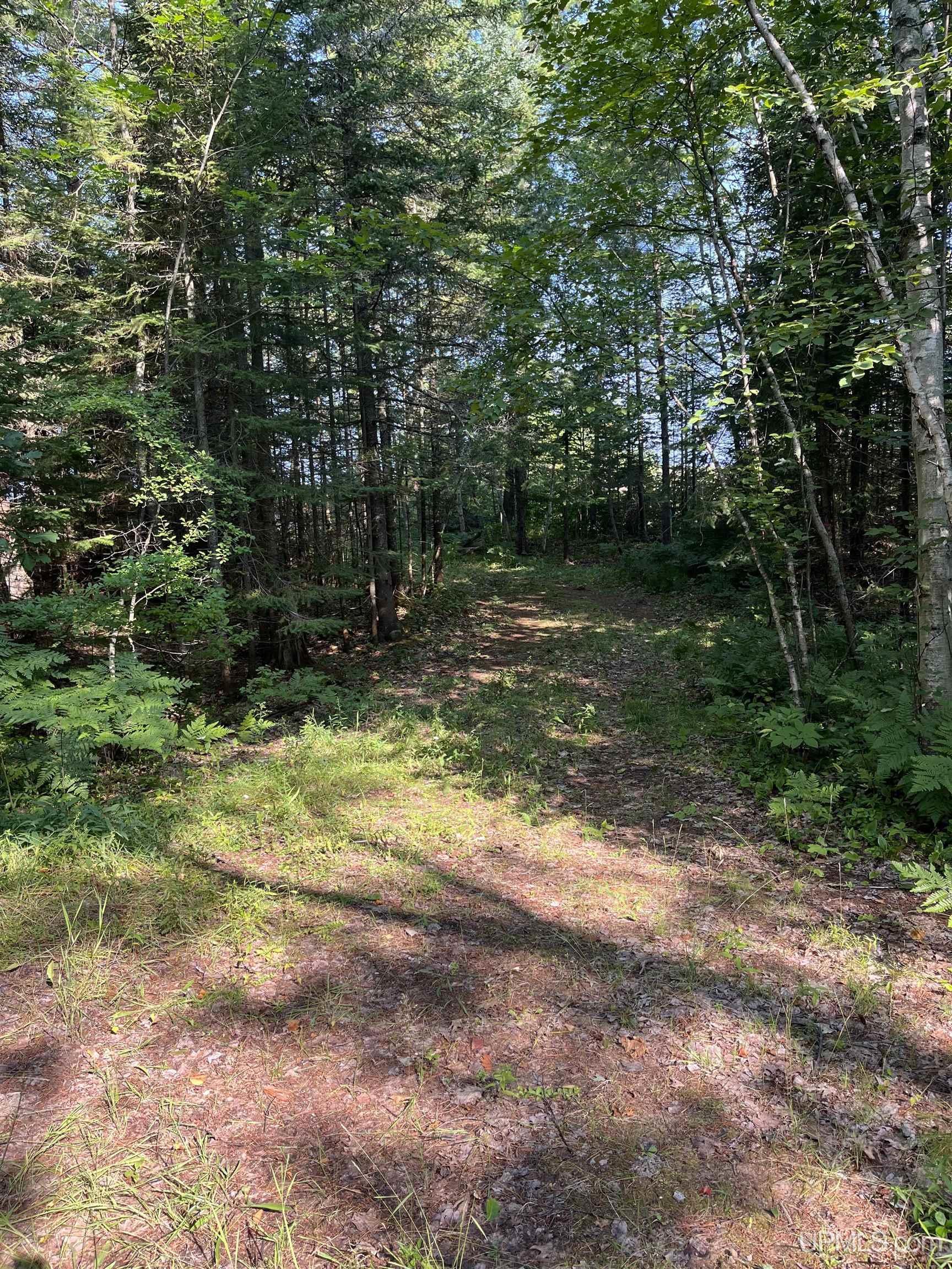 TBD Lakefront Ontonagon, MI 49953 179,900