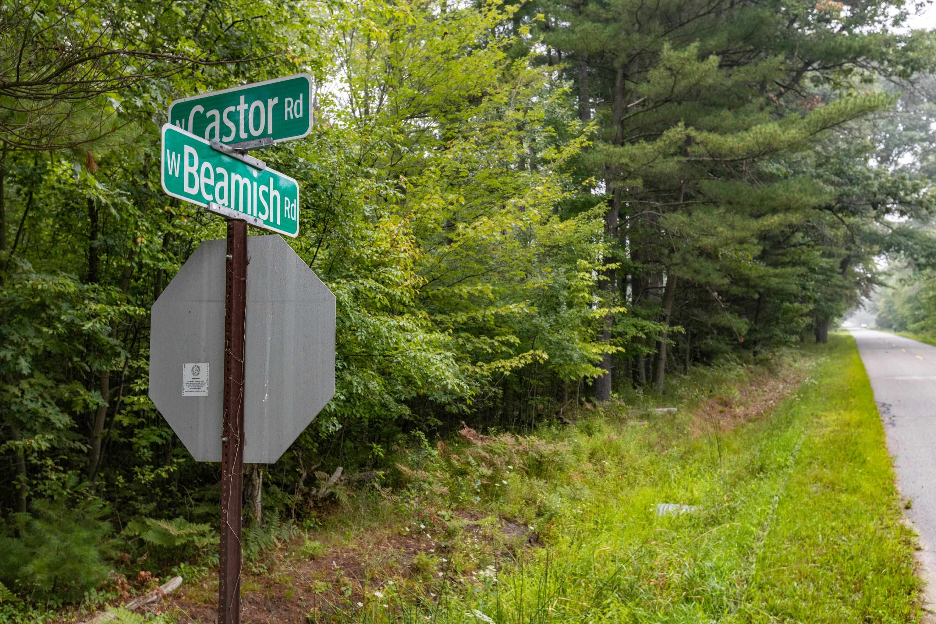 VL N Castor