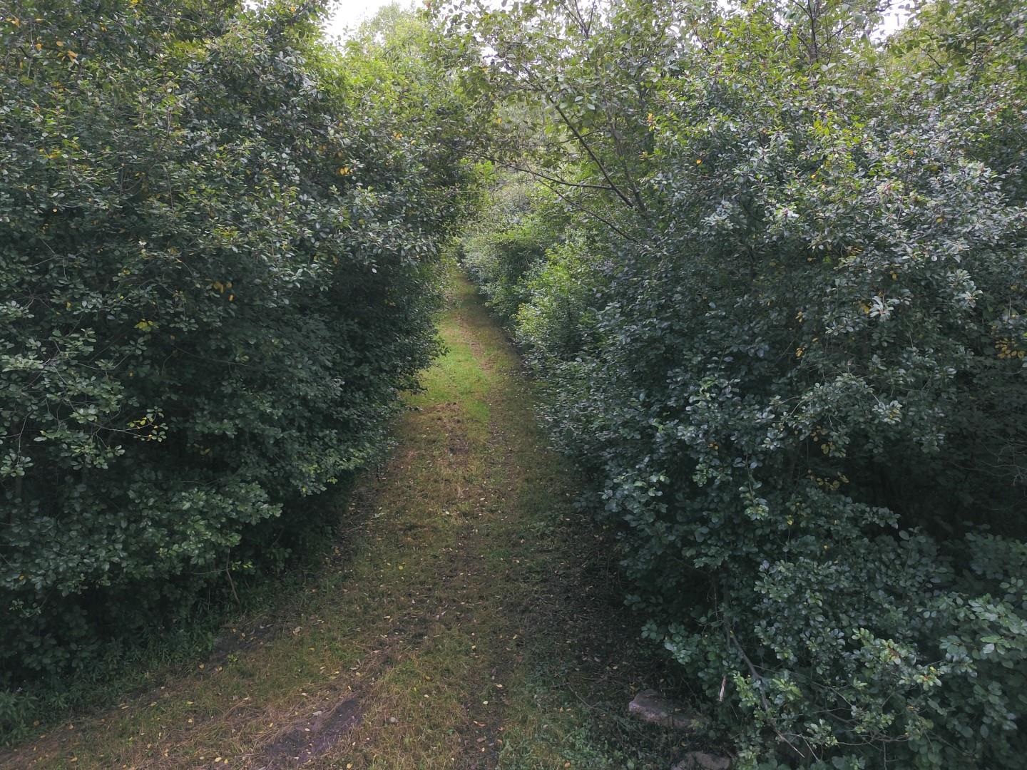 1406 Tittabawassee River