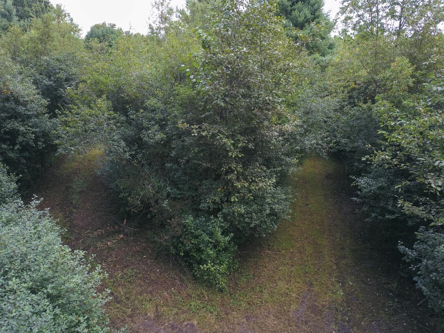 1406 Tittabawassee River