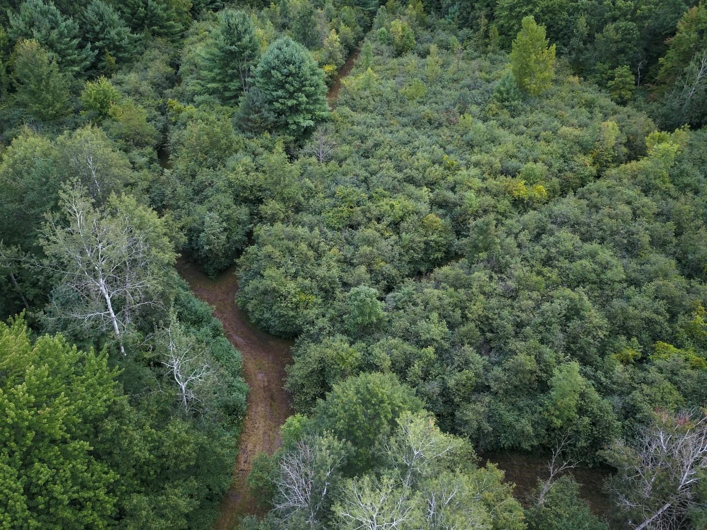 1406 Tittabawassee River