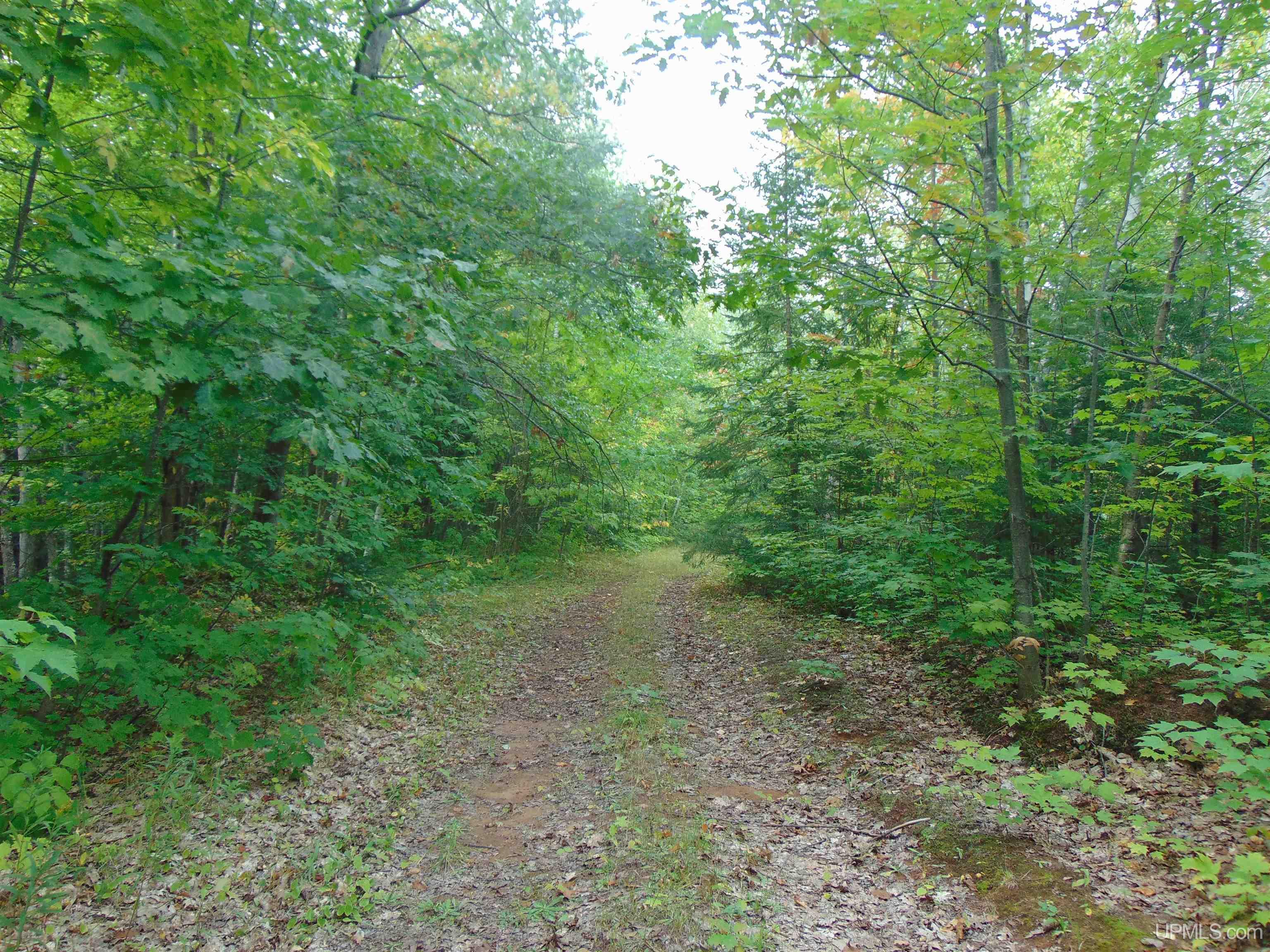 TBD 15 Old M28 Bergland, MI 49910 MLS 50122037 Great Lakes and Land