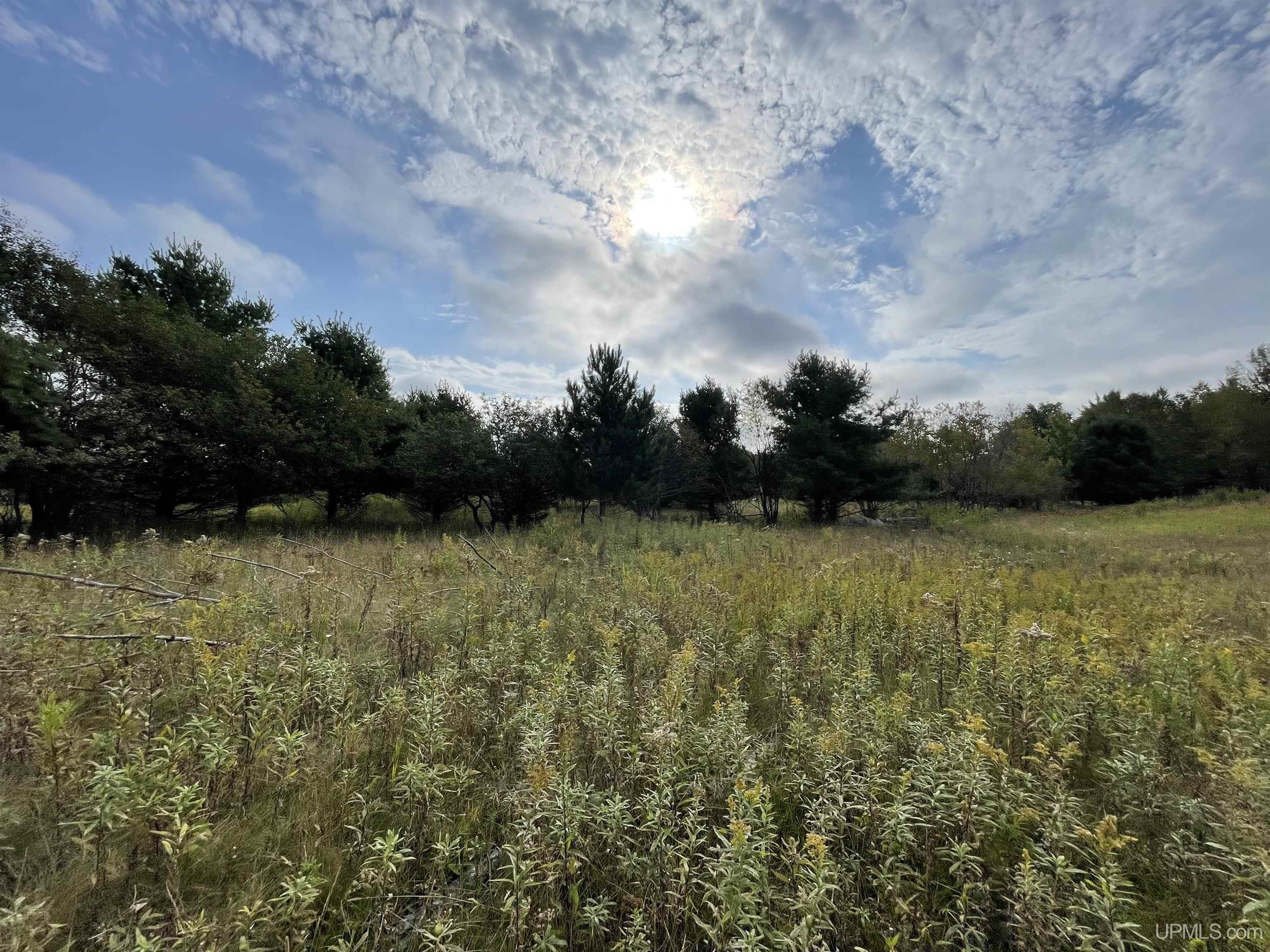 Land Listing MLS Number 50123879