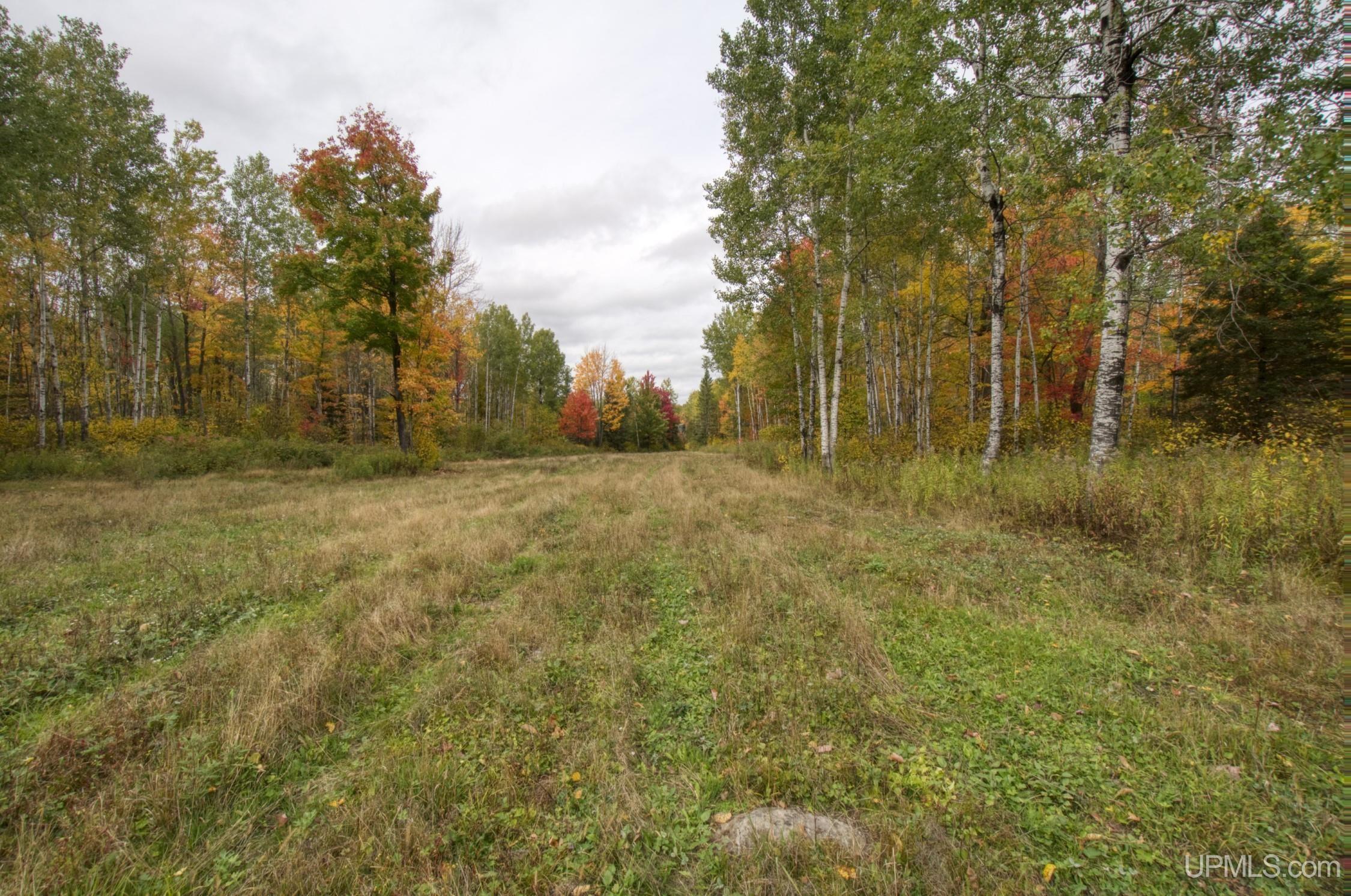 TBD Off N End Amasa, MI MLS50124091 Great Lakes and Land
