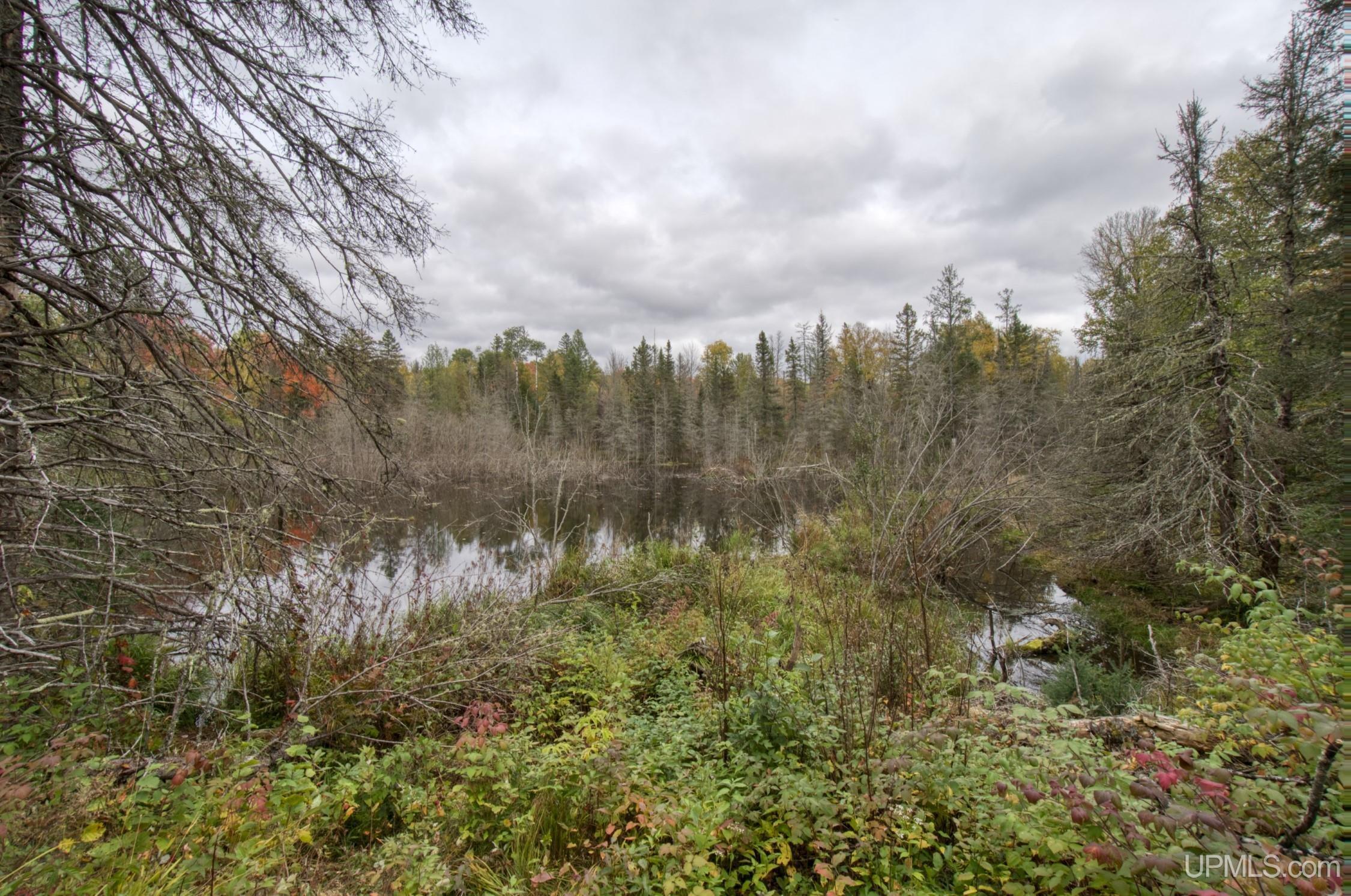 TBD Off N End Amasa, MI MLS50124091 Great Lakes and Land