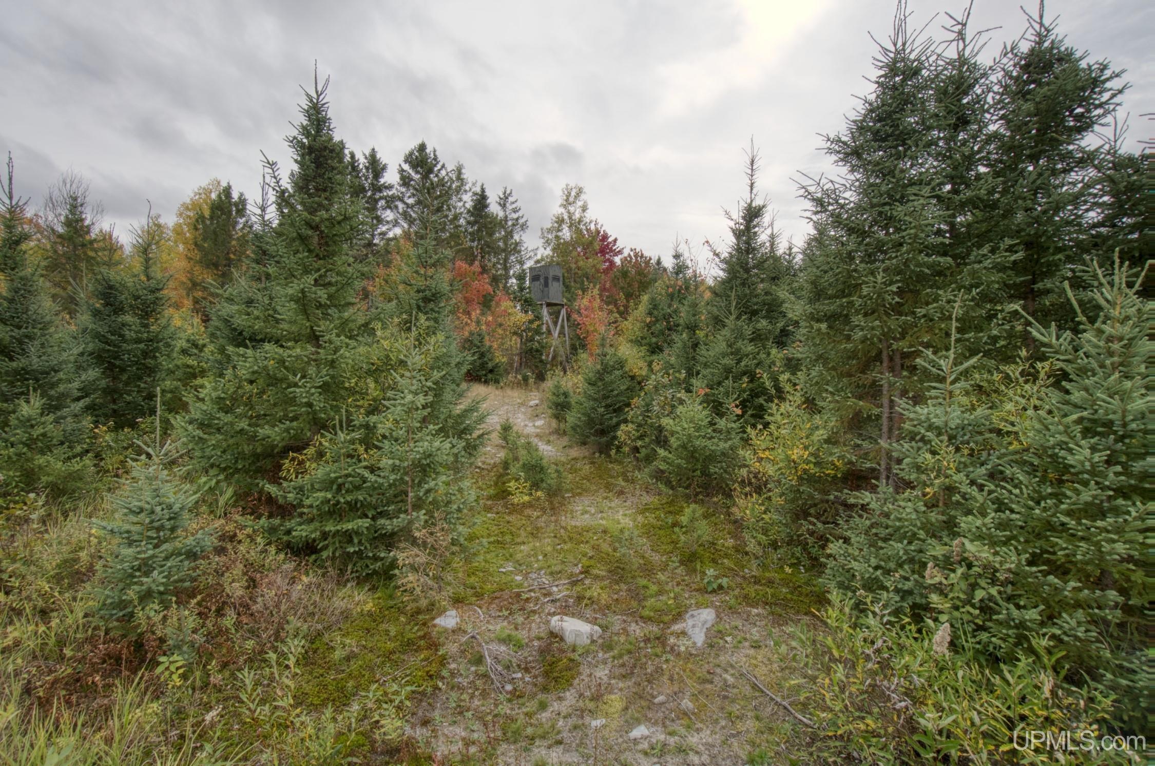 TBD Off N End Amasa, MI MLS50124091 Great Lakes and Land