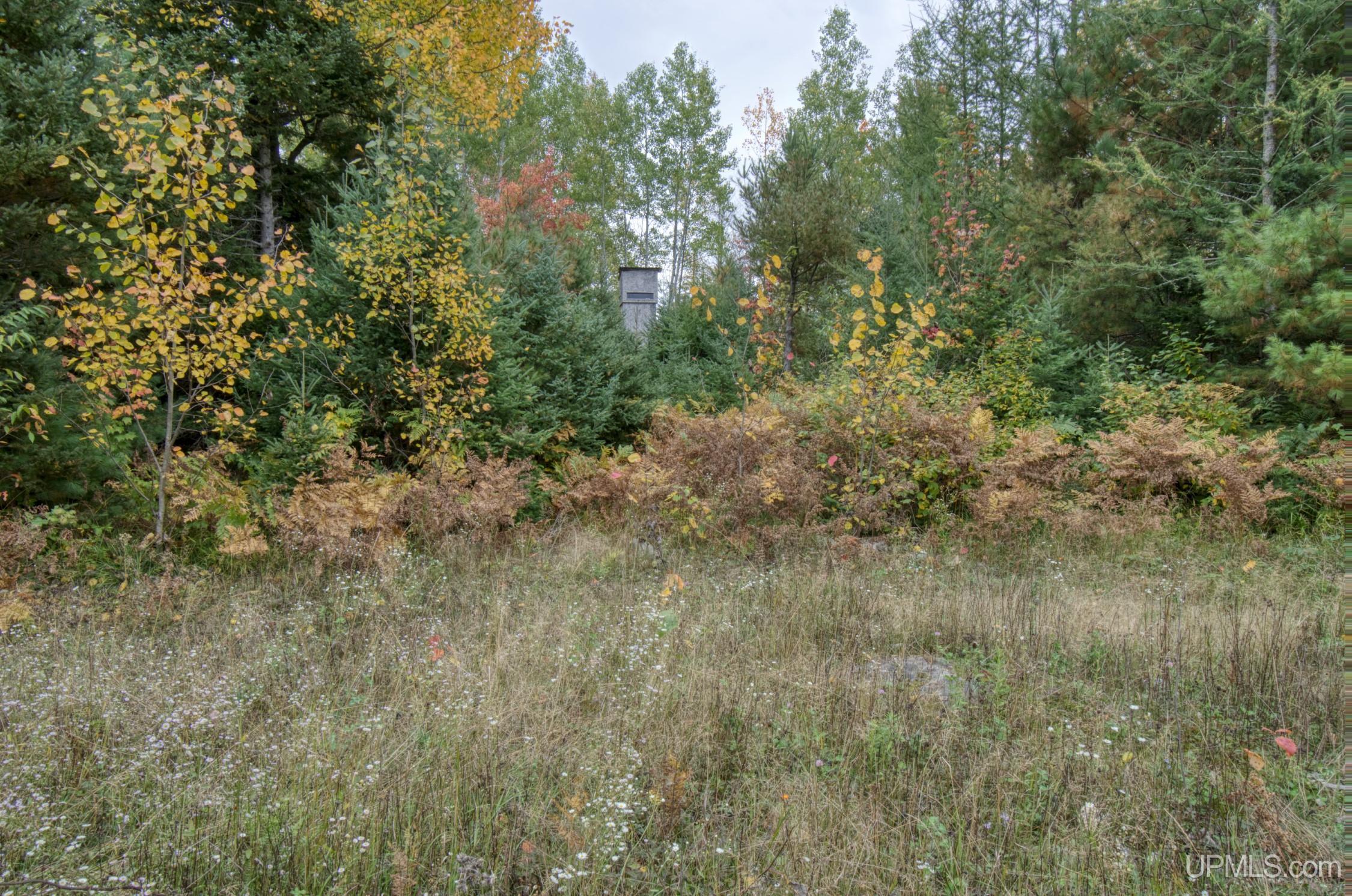 TBD Off N End Amasa, MI MLS50124091 Great Lakes and Land