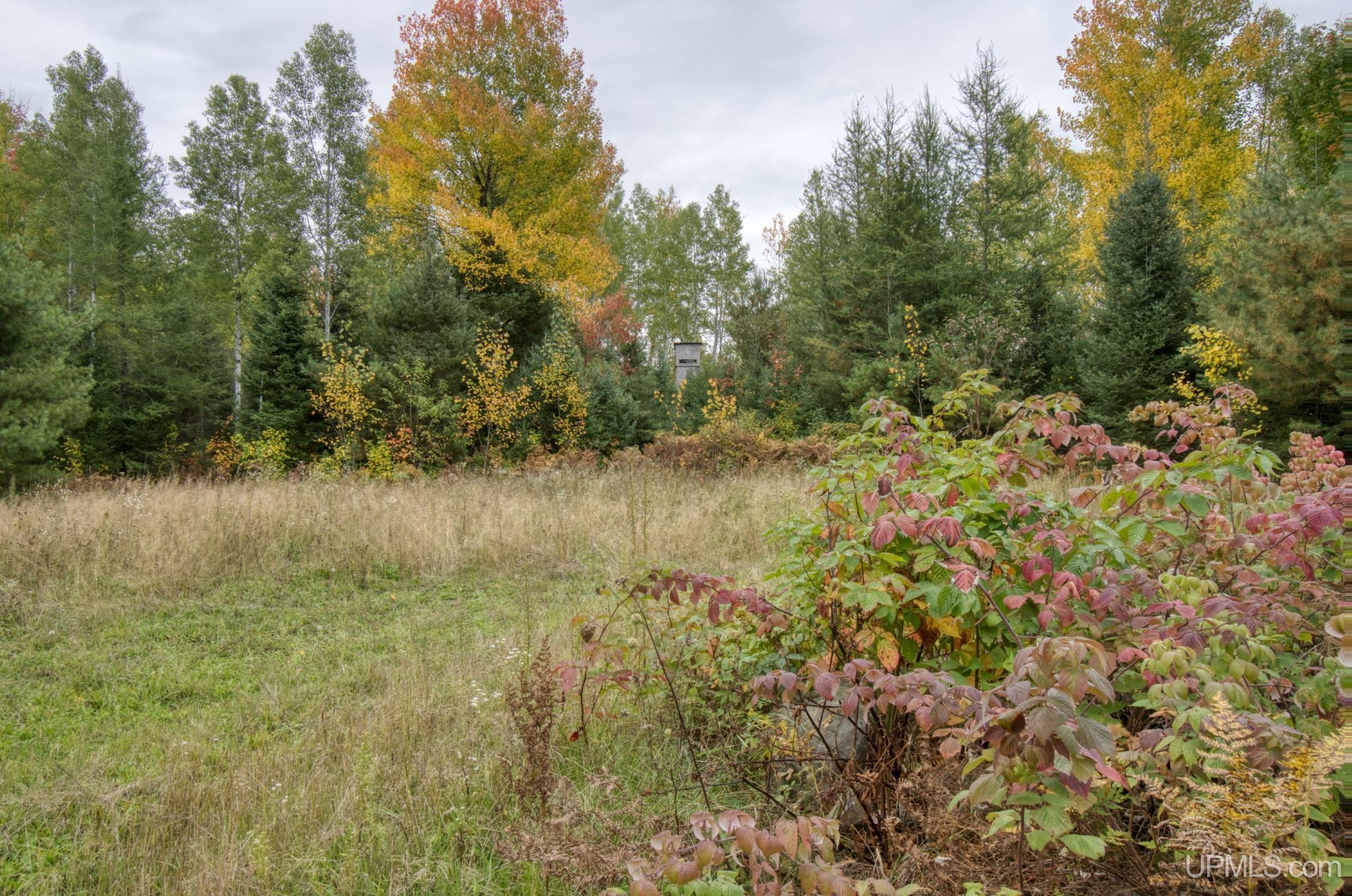 TBD Off N End Amasa, MI MLS50124091 Great Lakes and Land