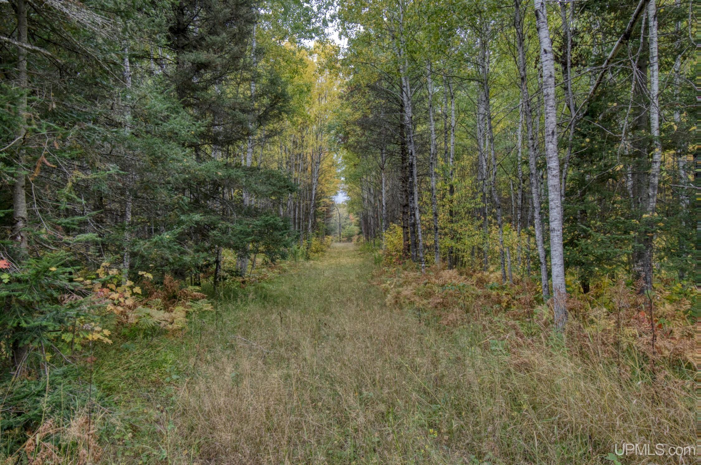 TBD Off N End Amasa, MI MLS50124091 Great Lakes and Land
